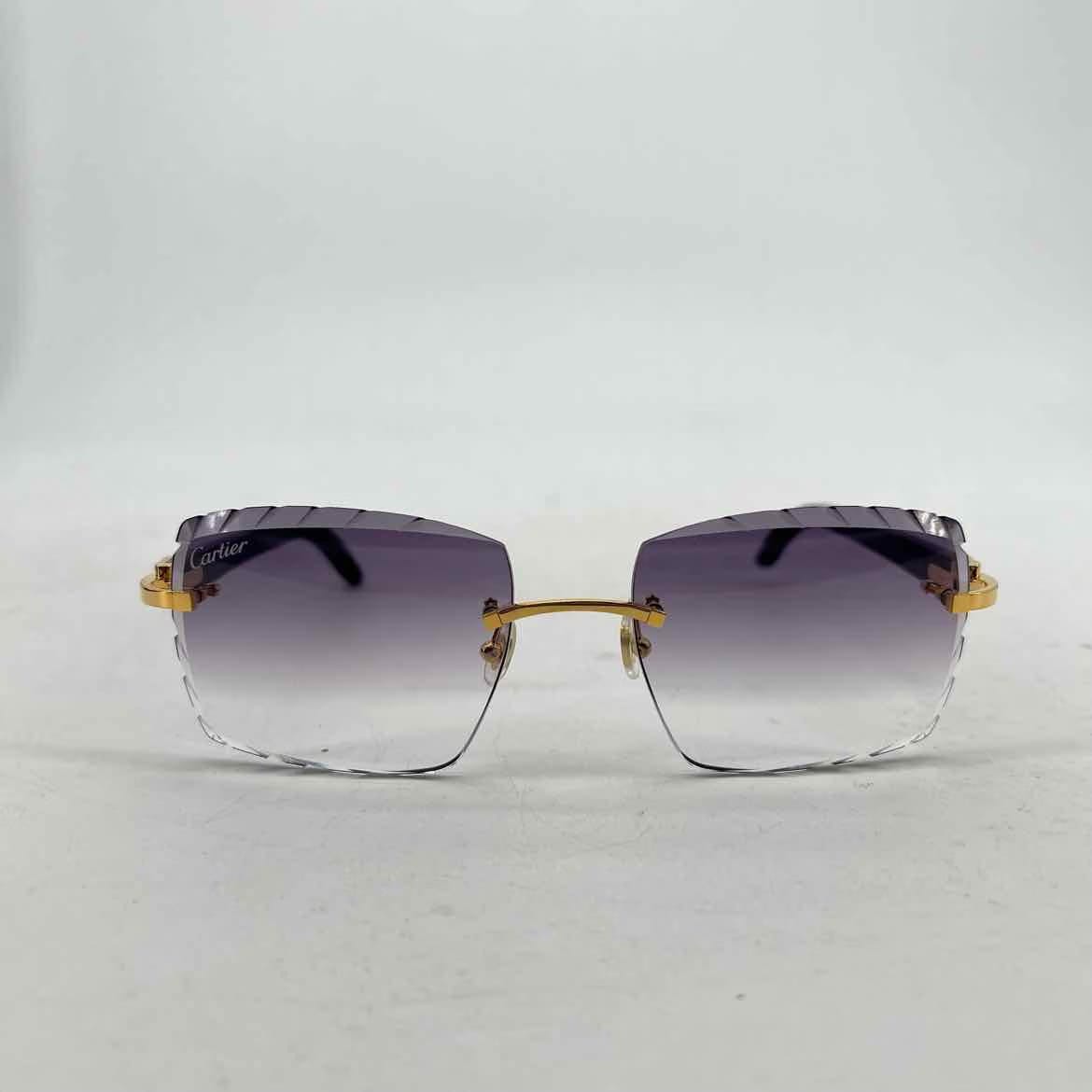 Cartier Sunglasses "BLACK HORN" New Black Size OS