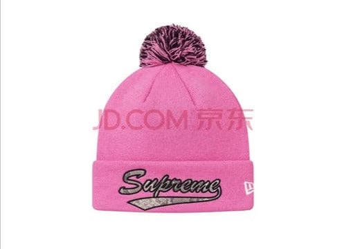 Supreme New Era Cap FW17 Fall Winter Snakeskin Print Box Logo Beanie FW17BN29