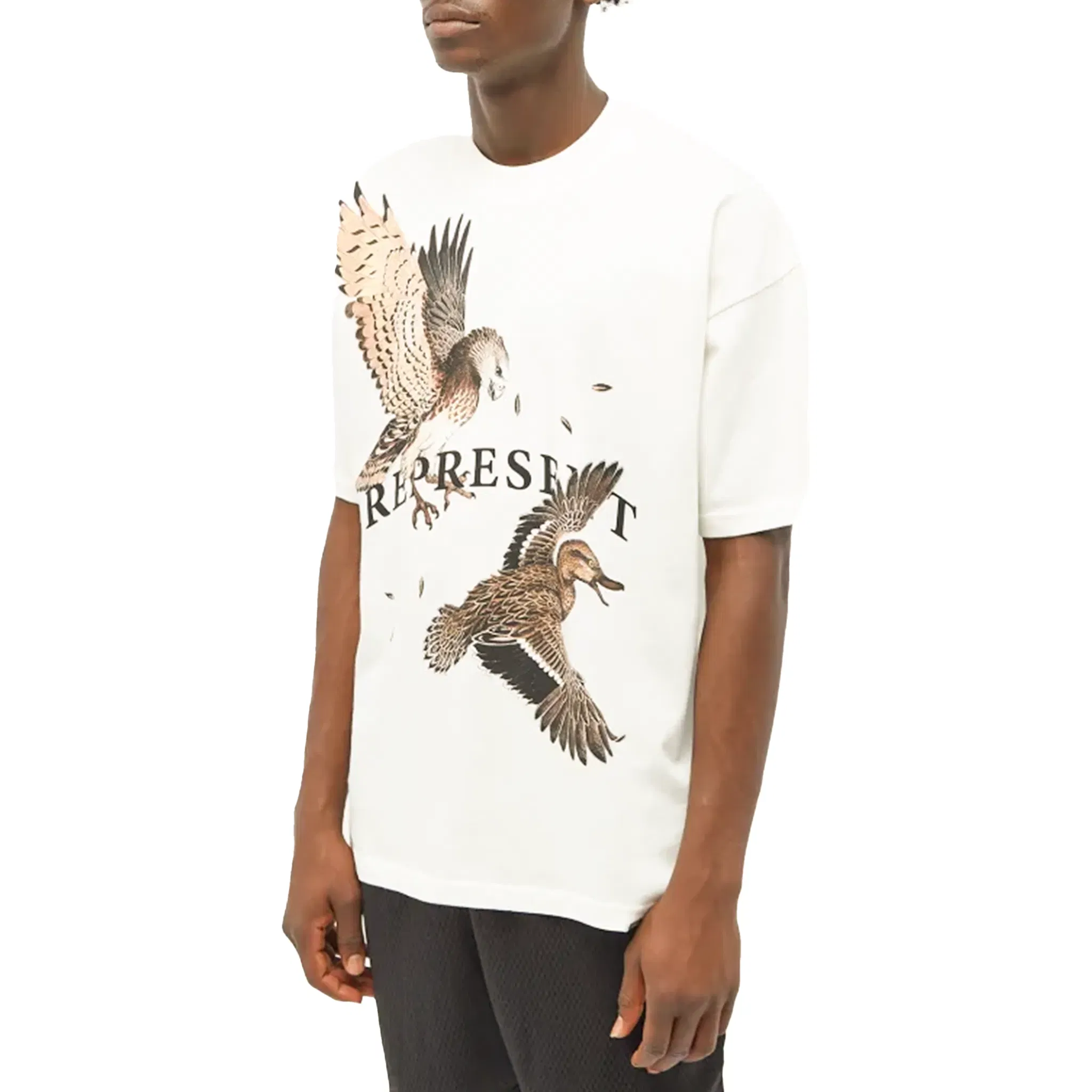Represent Birds Of Prey Tee Flat White (SS24)