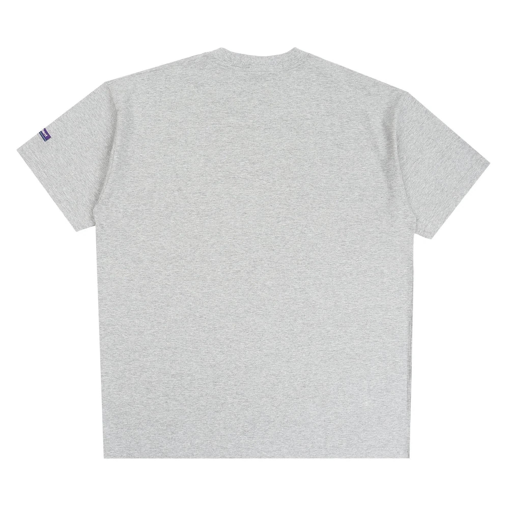 Descendant Horizon Organic SS T-Shirt - Grey