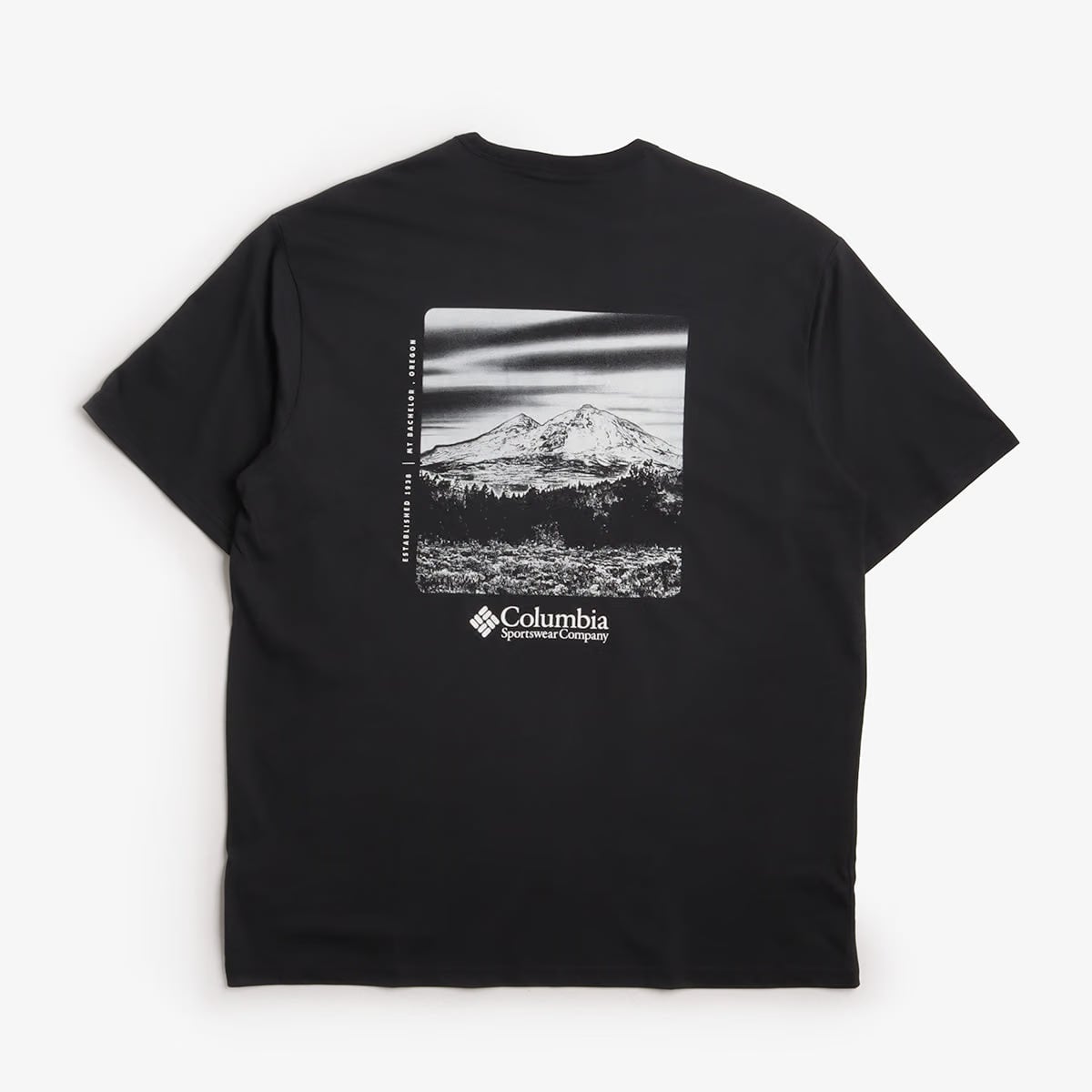 Columbia CSC Heavyweight Back Graphic T-Shirt