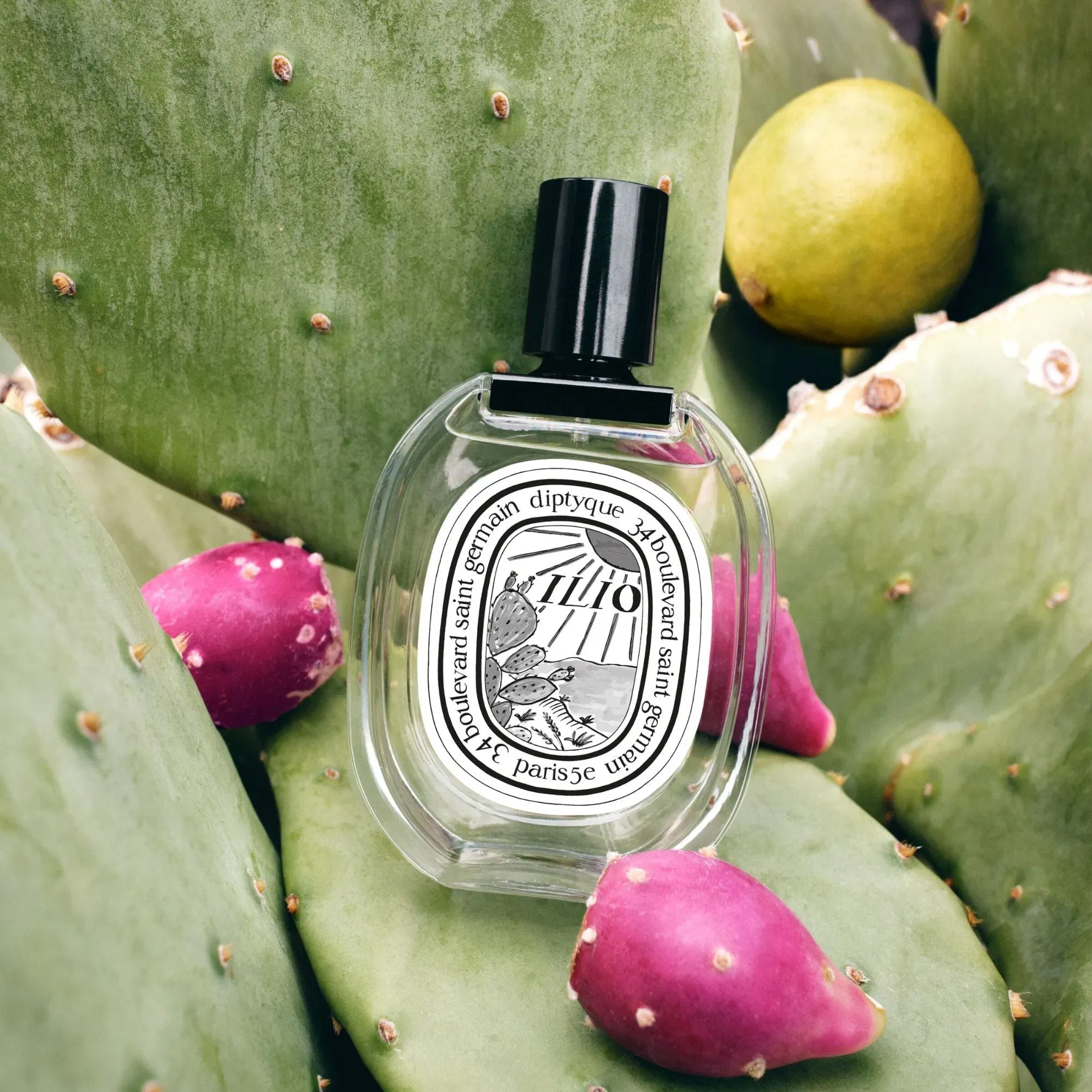 Diptyque Ilio Eau de Toilette