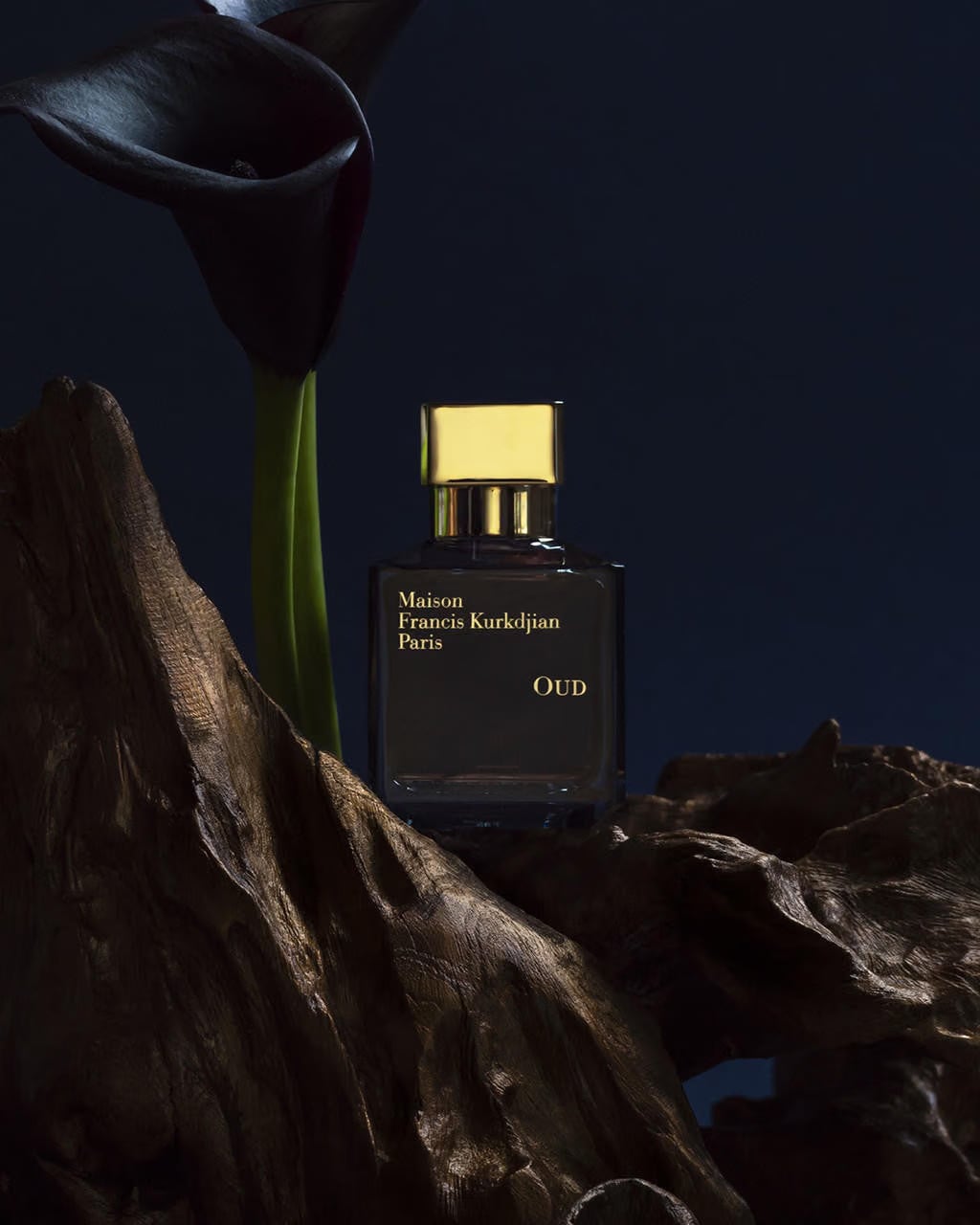 Maison Francis Kurkdjian Oud Eau de Parfum