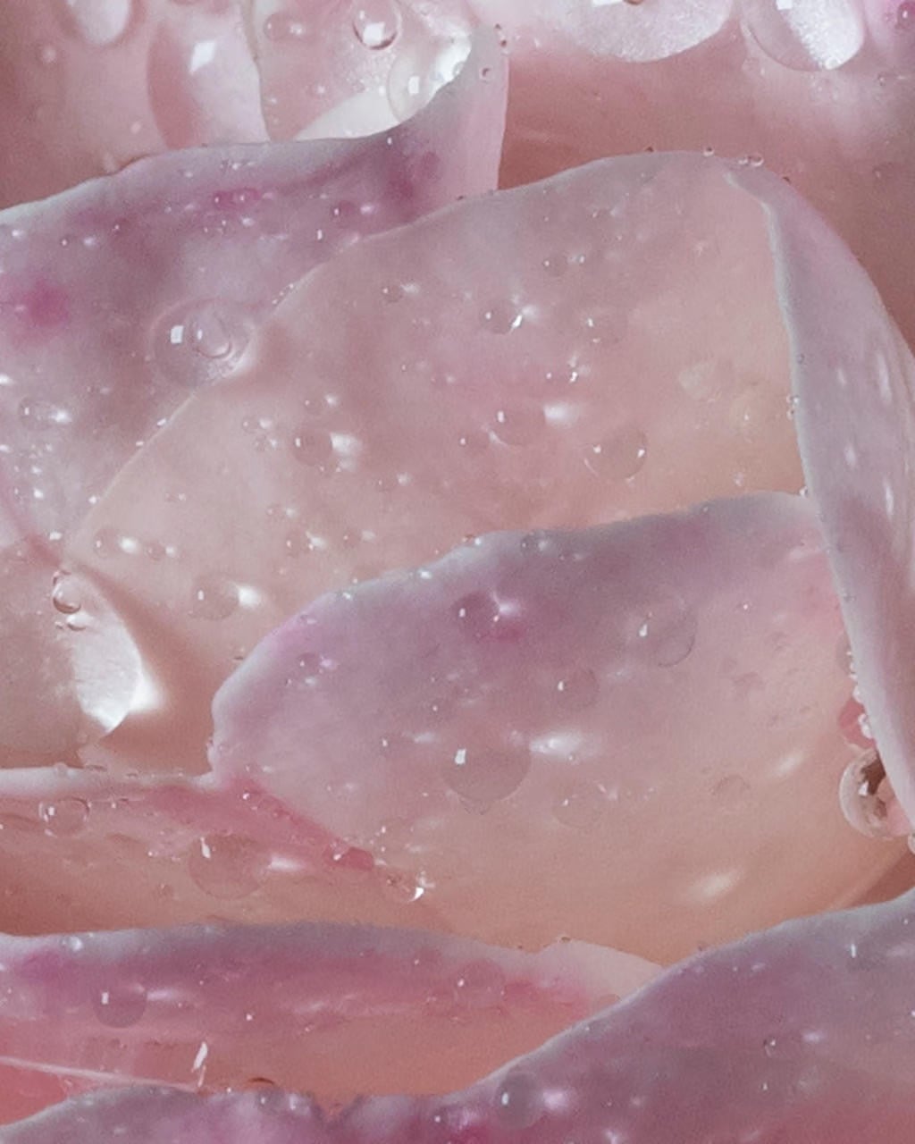 Maison Francis Kurkdjian L'Eau A La Rose Eau de Toilette