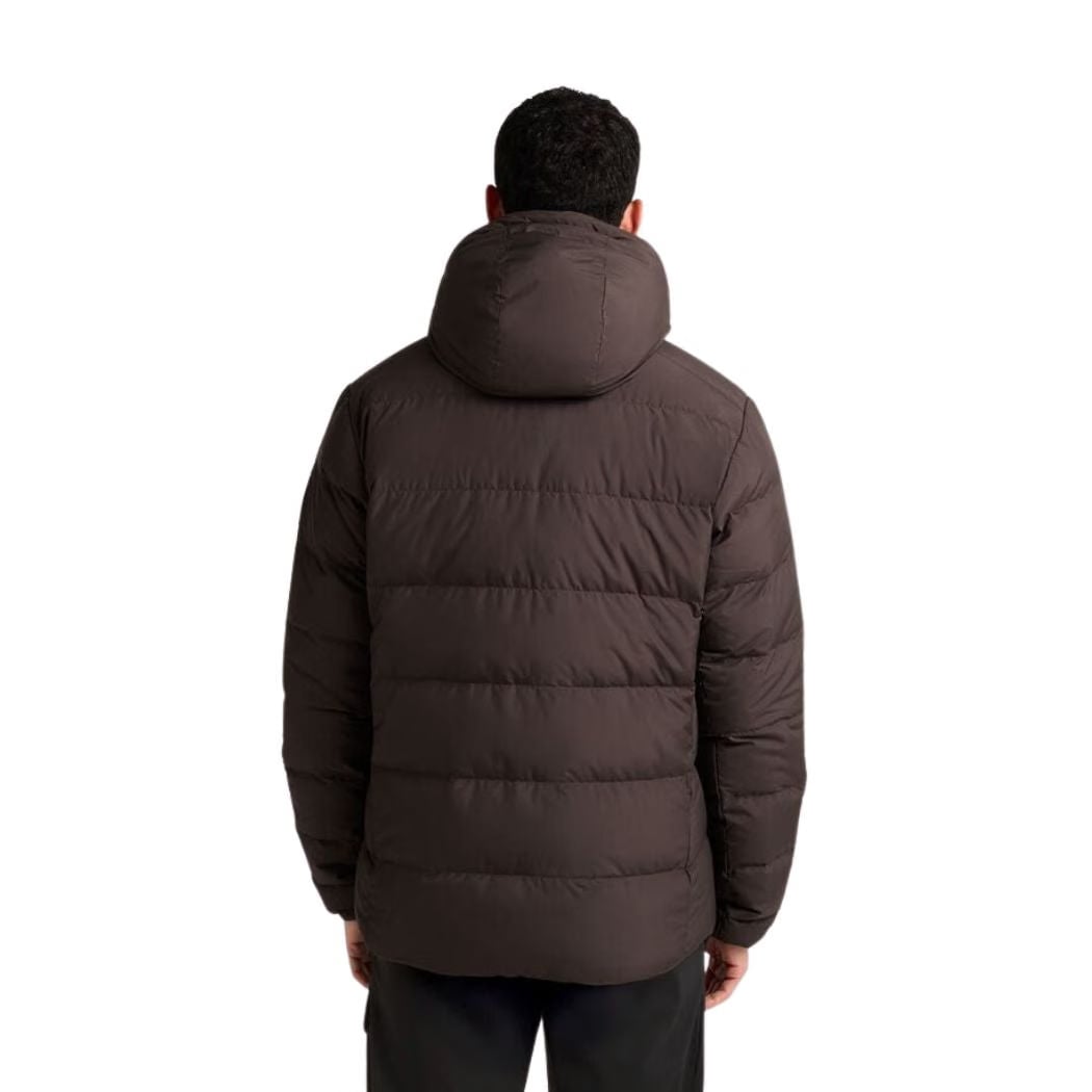 jack wolfskin Colonius RDS Men's Jacket