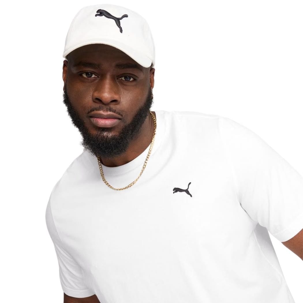 puma Essentials Small Logo Men's Tee