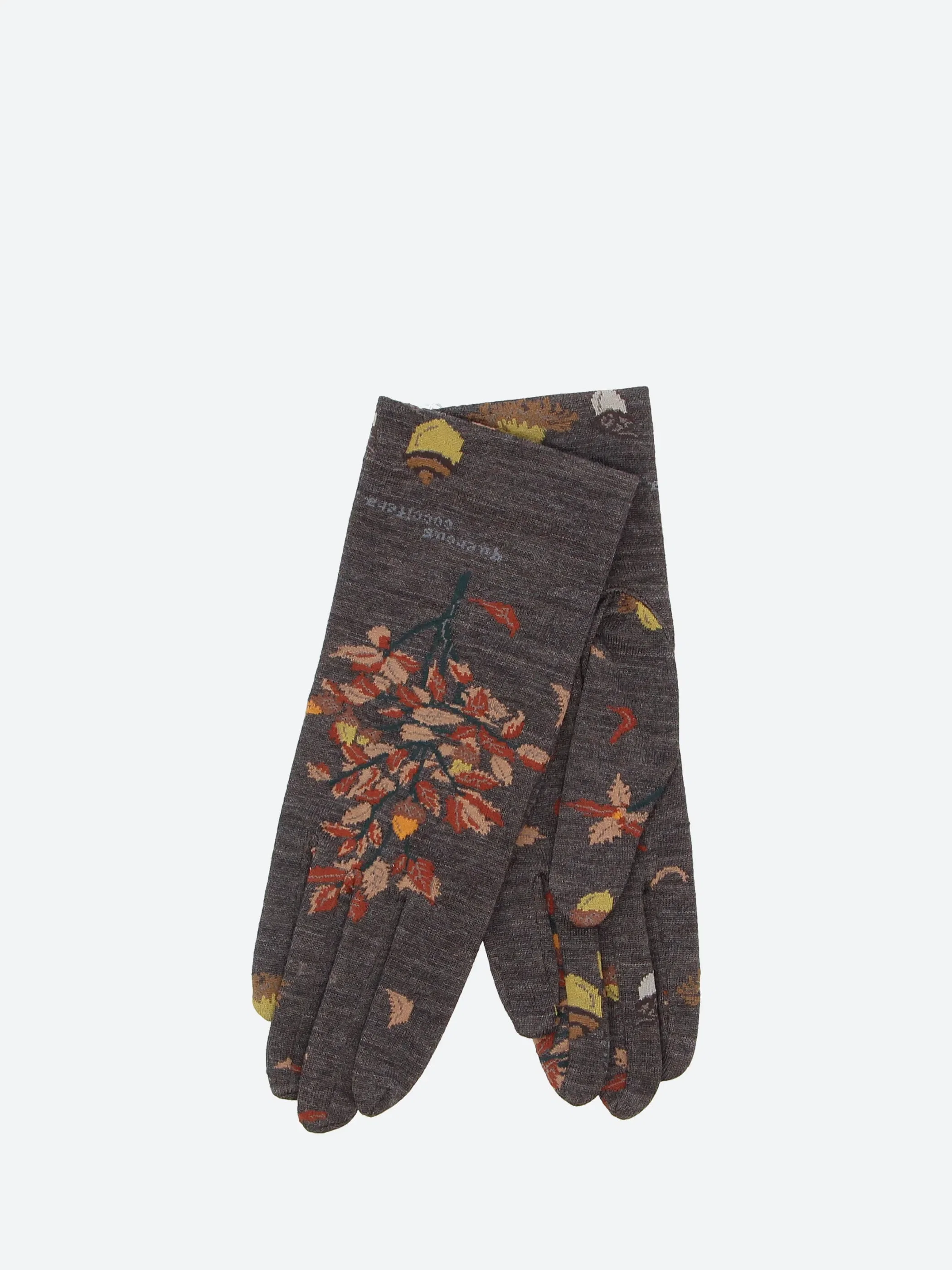 Antipast Wind and Acorn Gloves