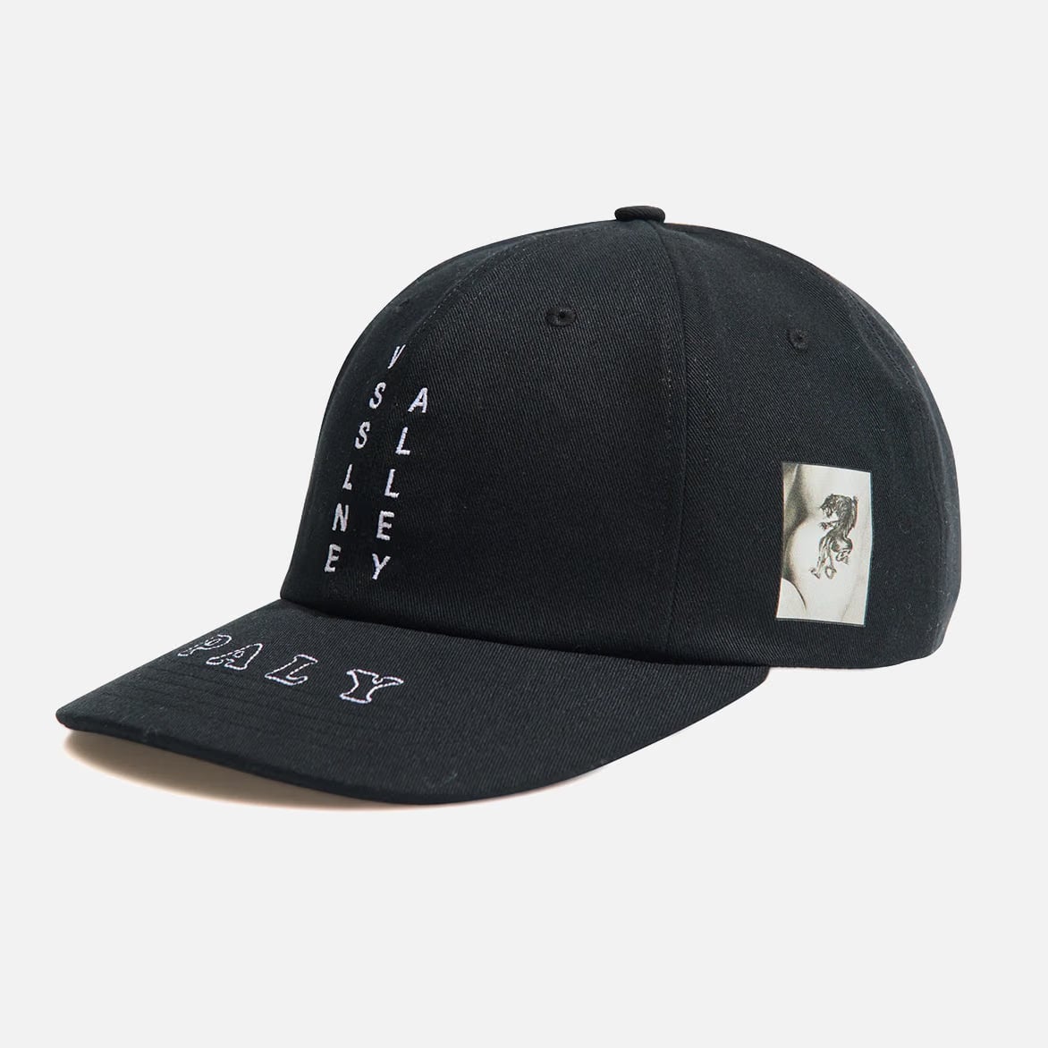 Paly VSSLNE ALLEY LOW PROFILE HAT - BLACK