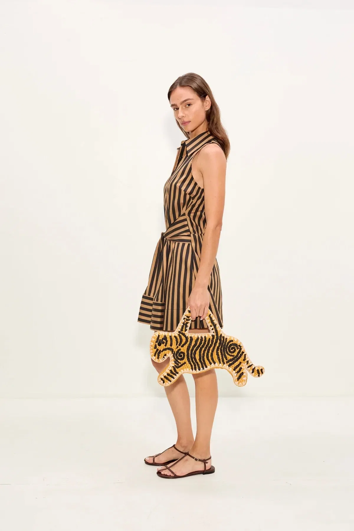 Simon Miller Inna Sleeveless Striped Poplin Cotton Mini Dress in Brown