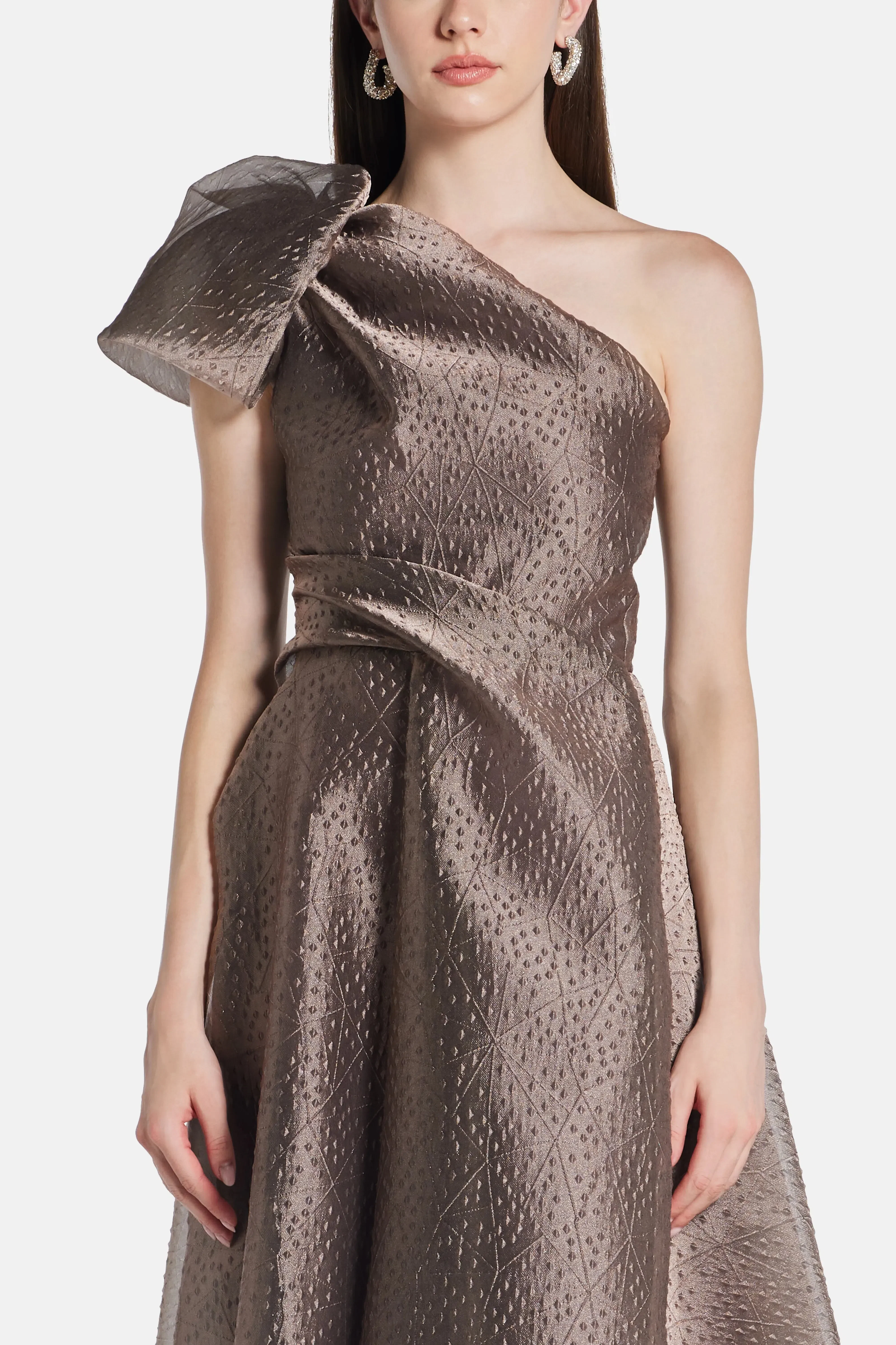 Talbot Runhof Rivet Organza One Shoulder Evening Dress in Brown