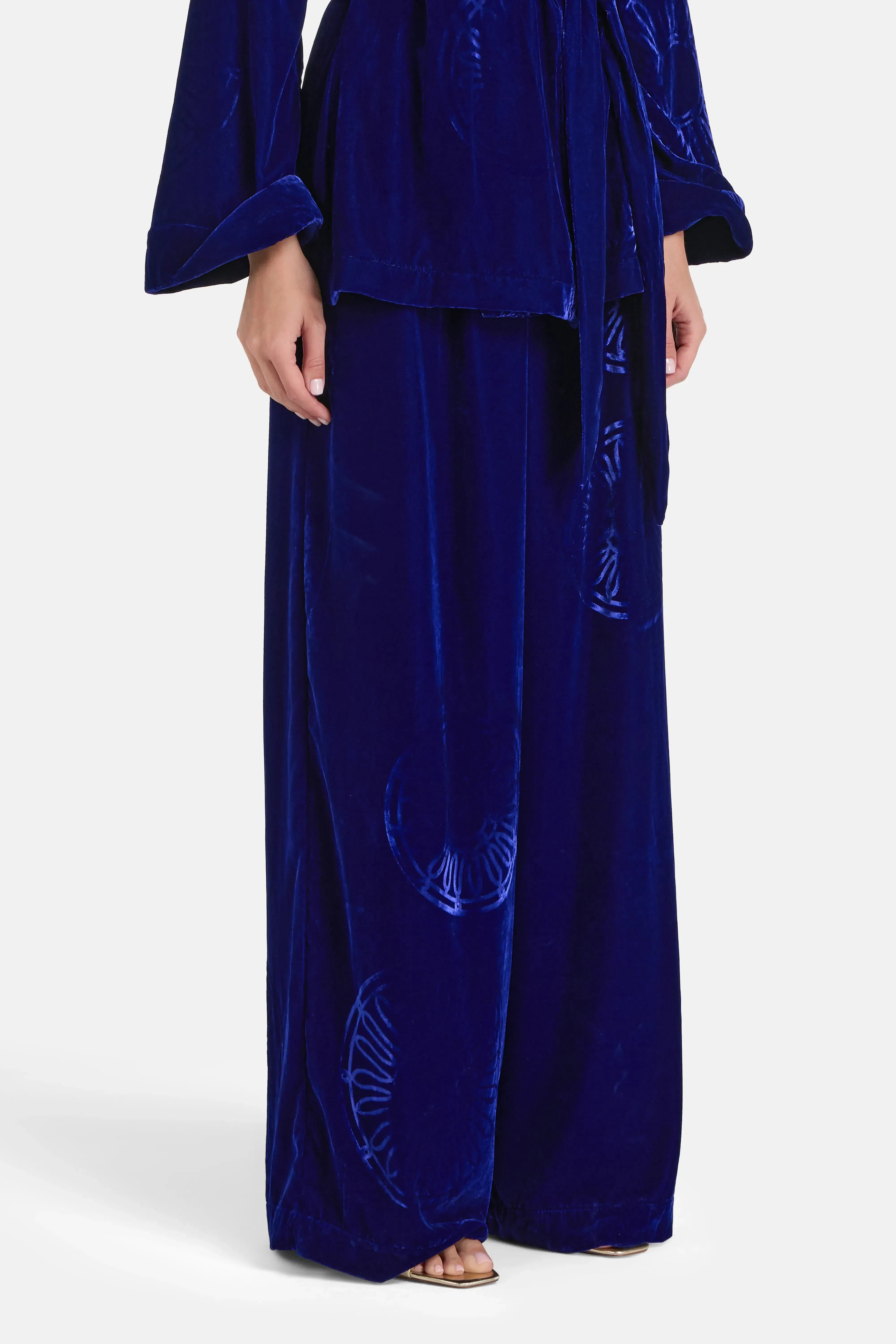 Themis Z Kyma Imposed Silk Velvet Blend Trousers in Blue