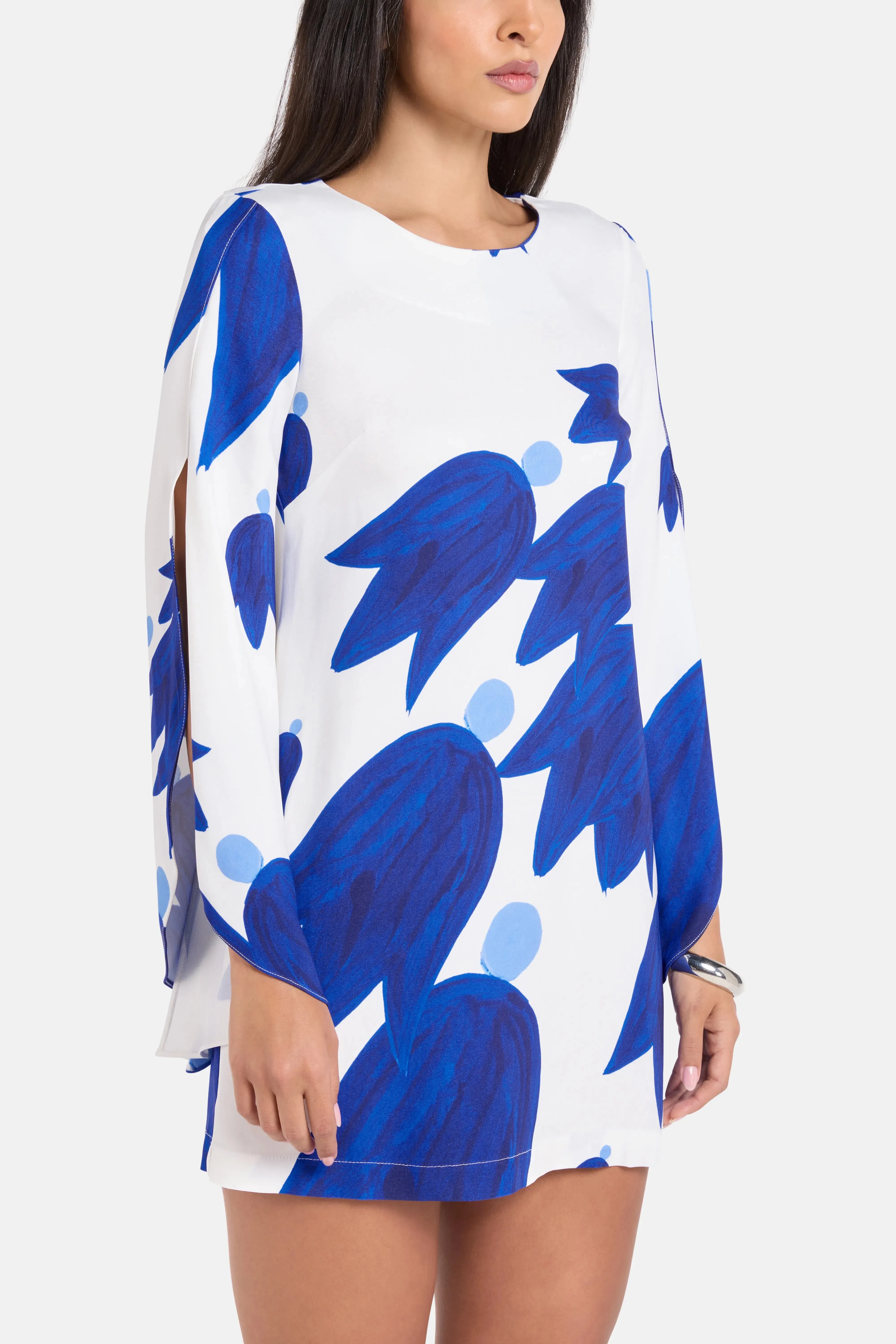 Themis Z Theano Sabra Cape Sleeves Silk Mini Dress in Blue and White