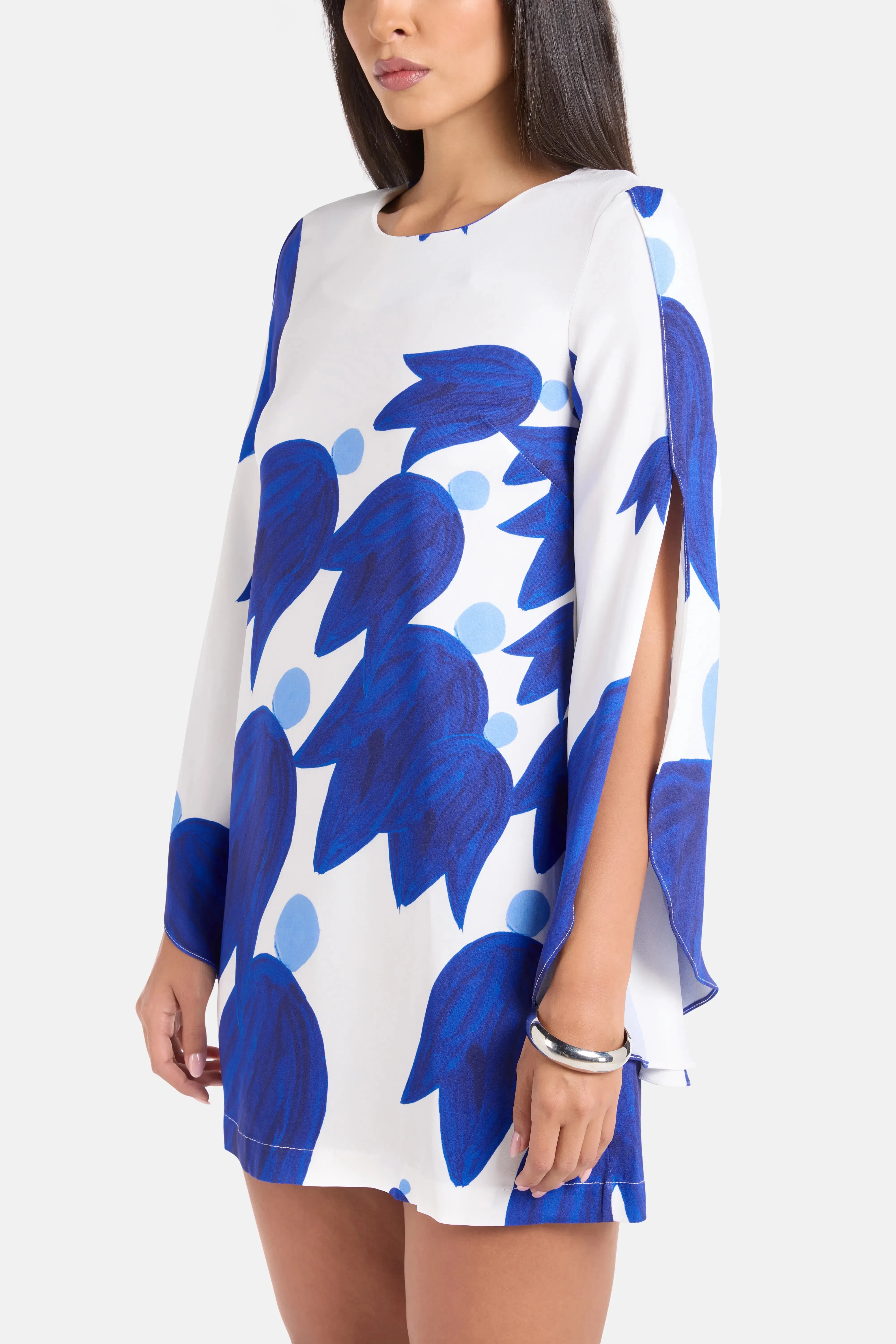 Themis Z Theano Sabra Cape Sleeves Silk Mini Dress in Blue and White