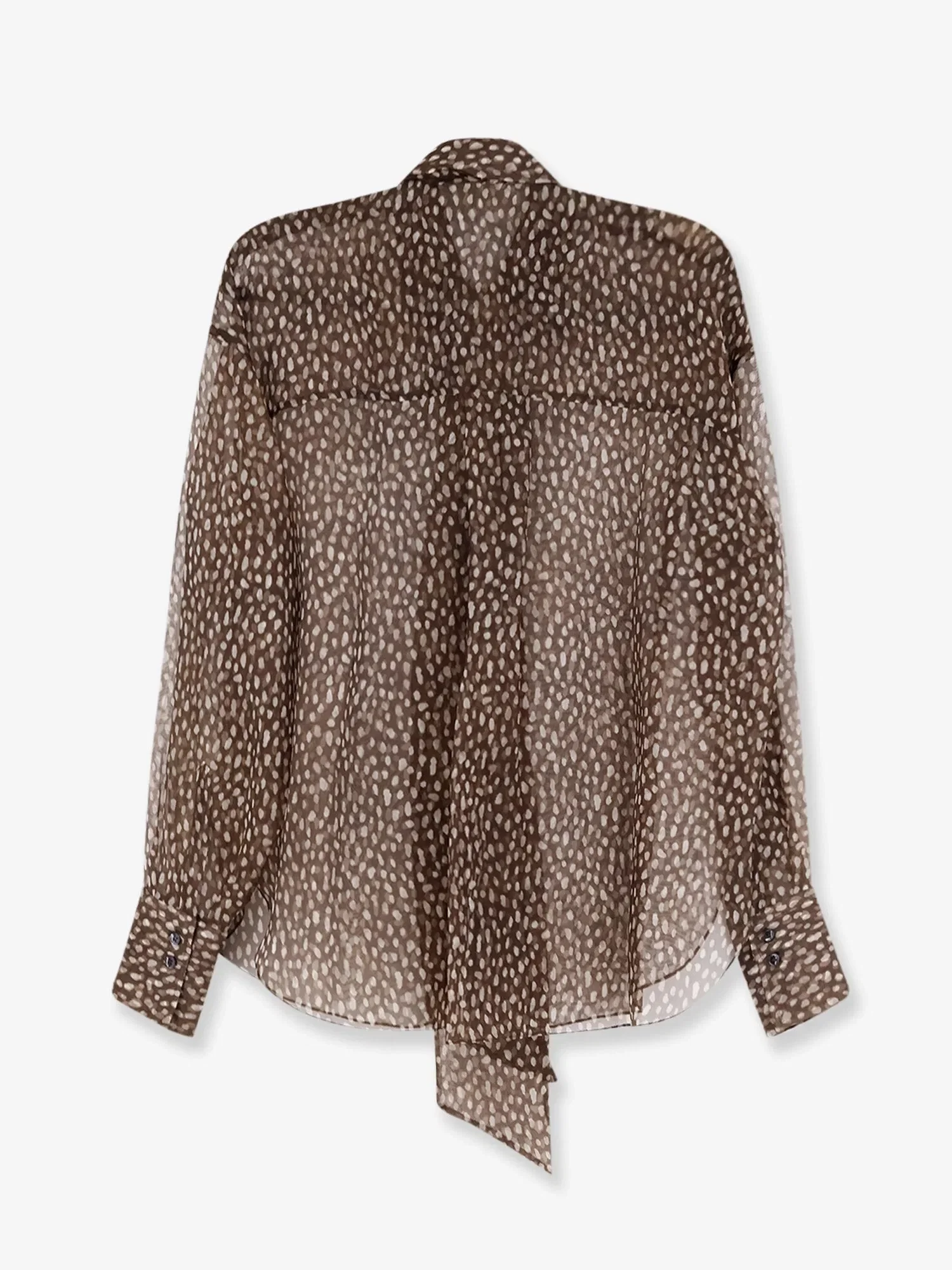 Brunello Cucinelli Sheer silk shirt