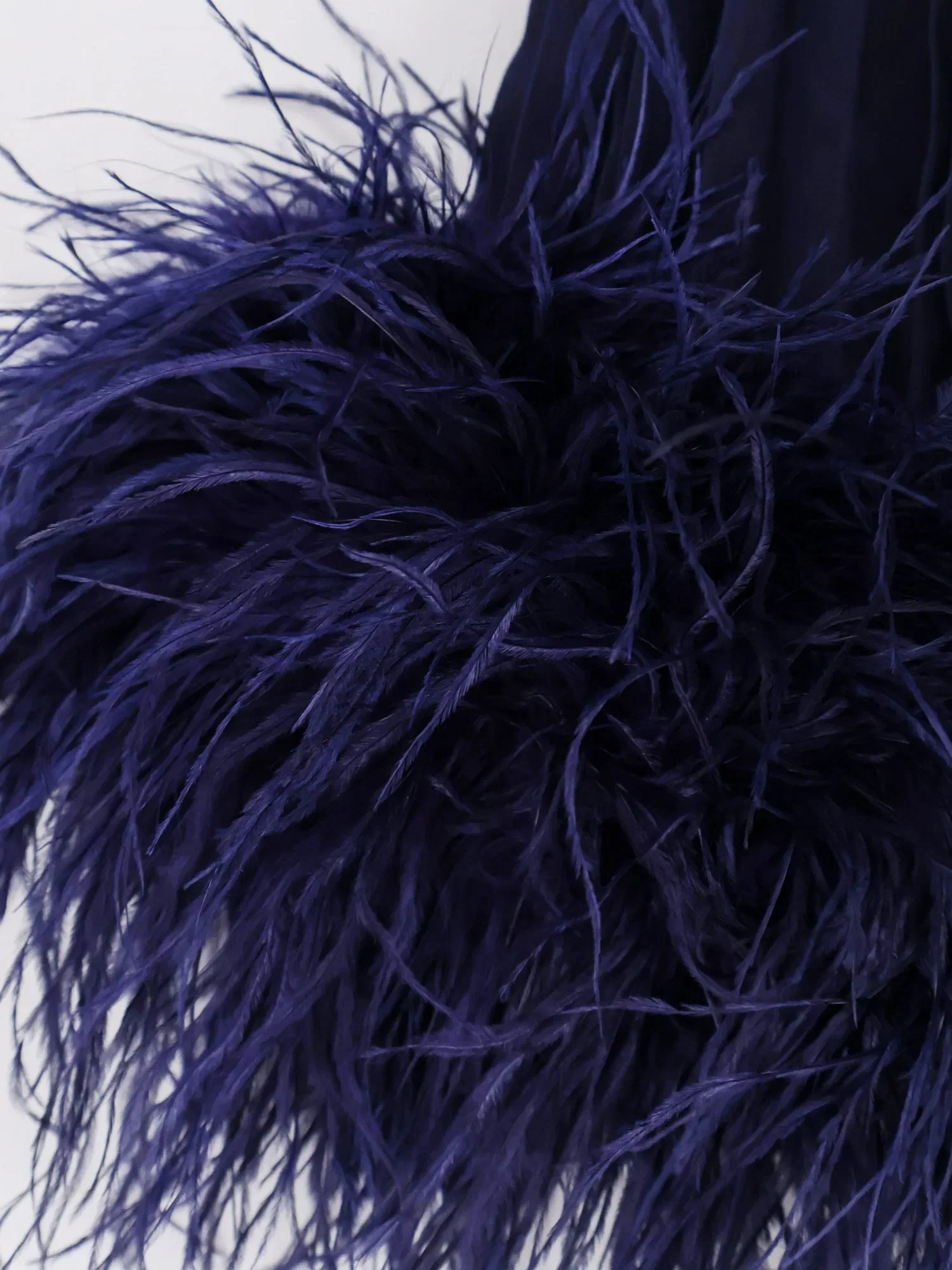 Self-Portrait Chiffon long dress with ostrich feathers