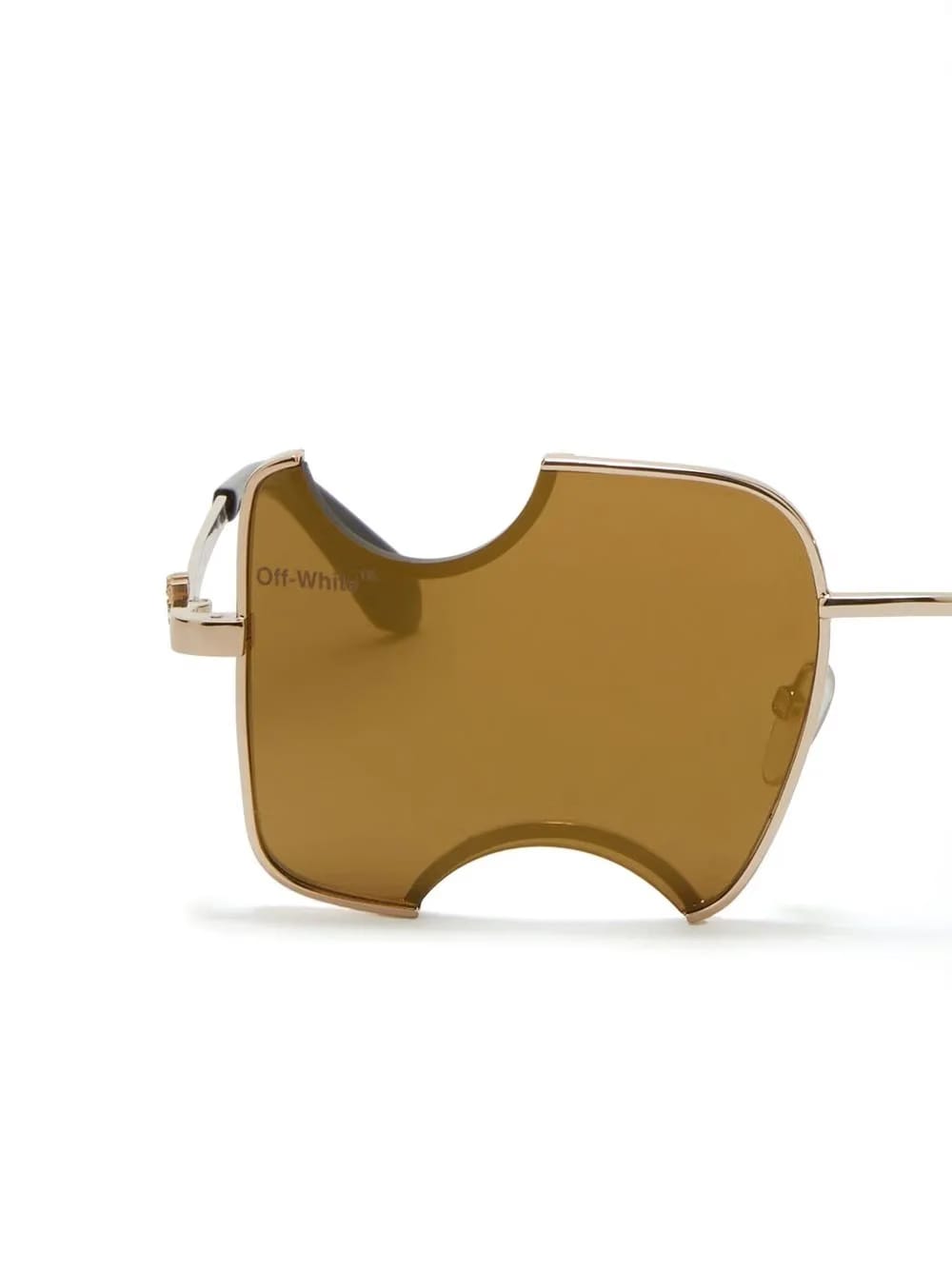 Salvador tinted sunglasses