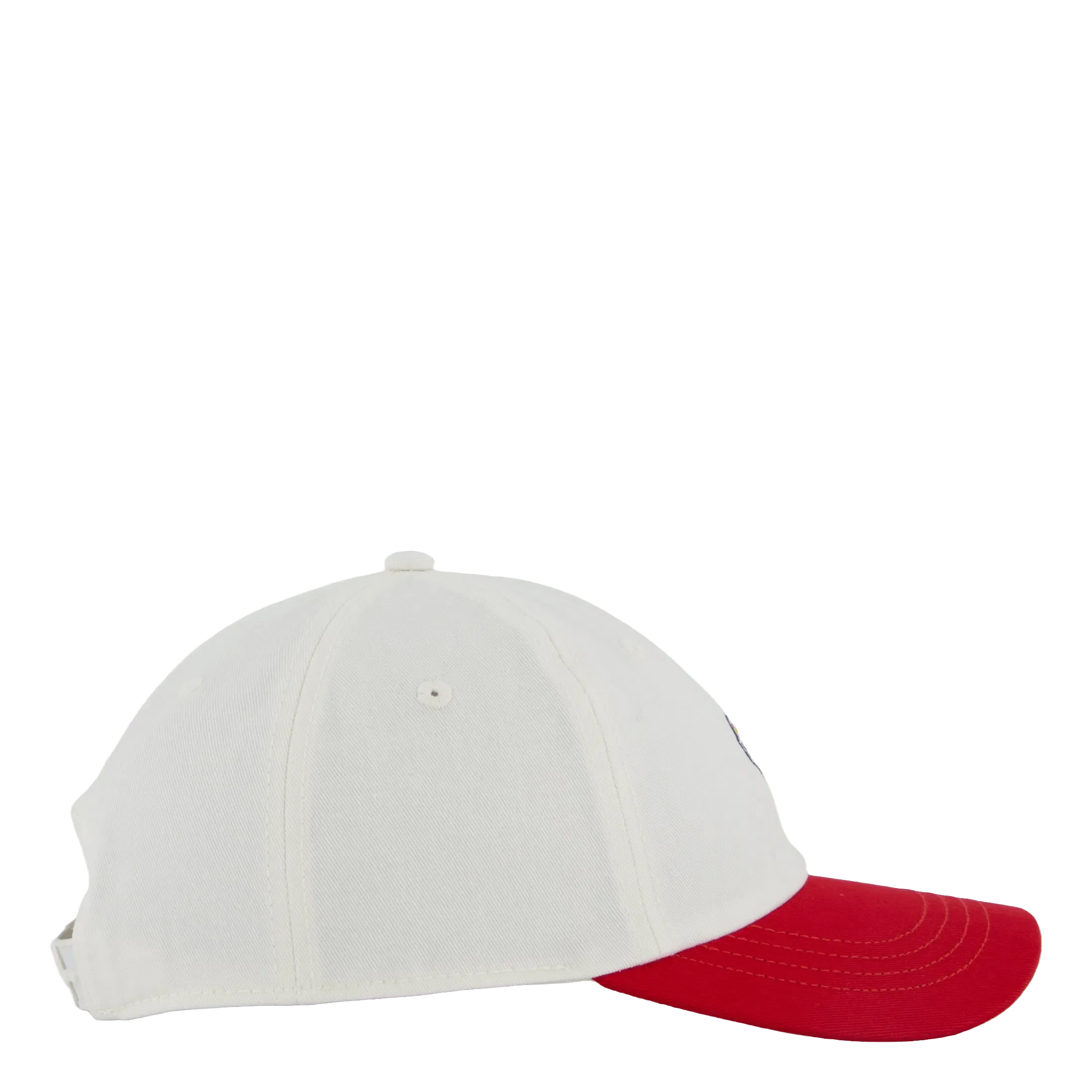 DICKIES Hardwick Cap 2 Tone Egret Egret