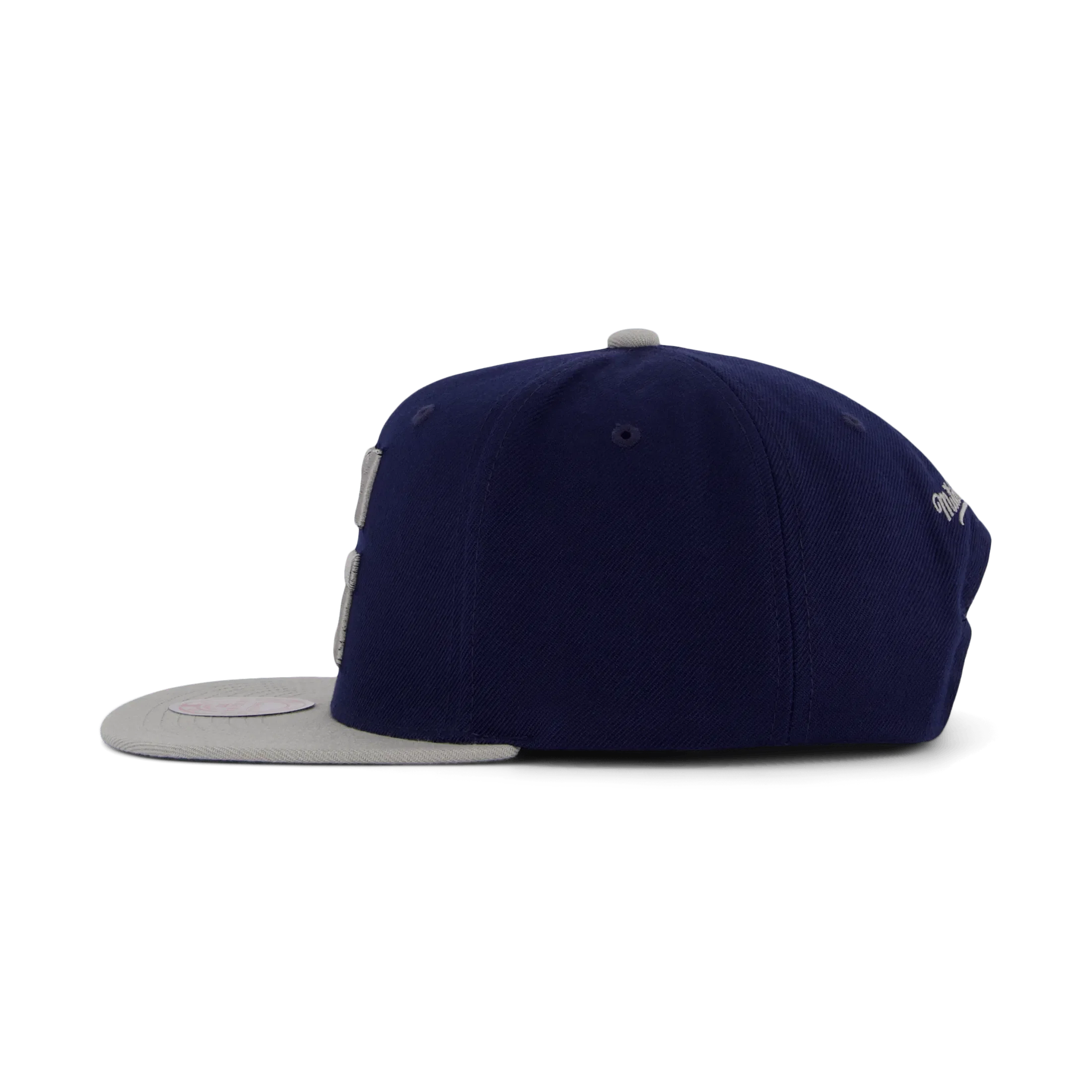 Mitchell & Ness Hoyas Team 2 Tone 2.0 Snapback