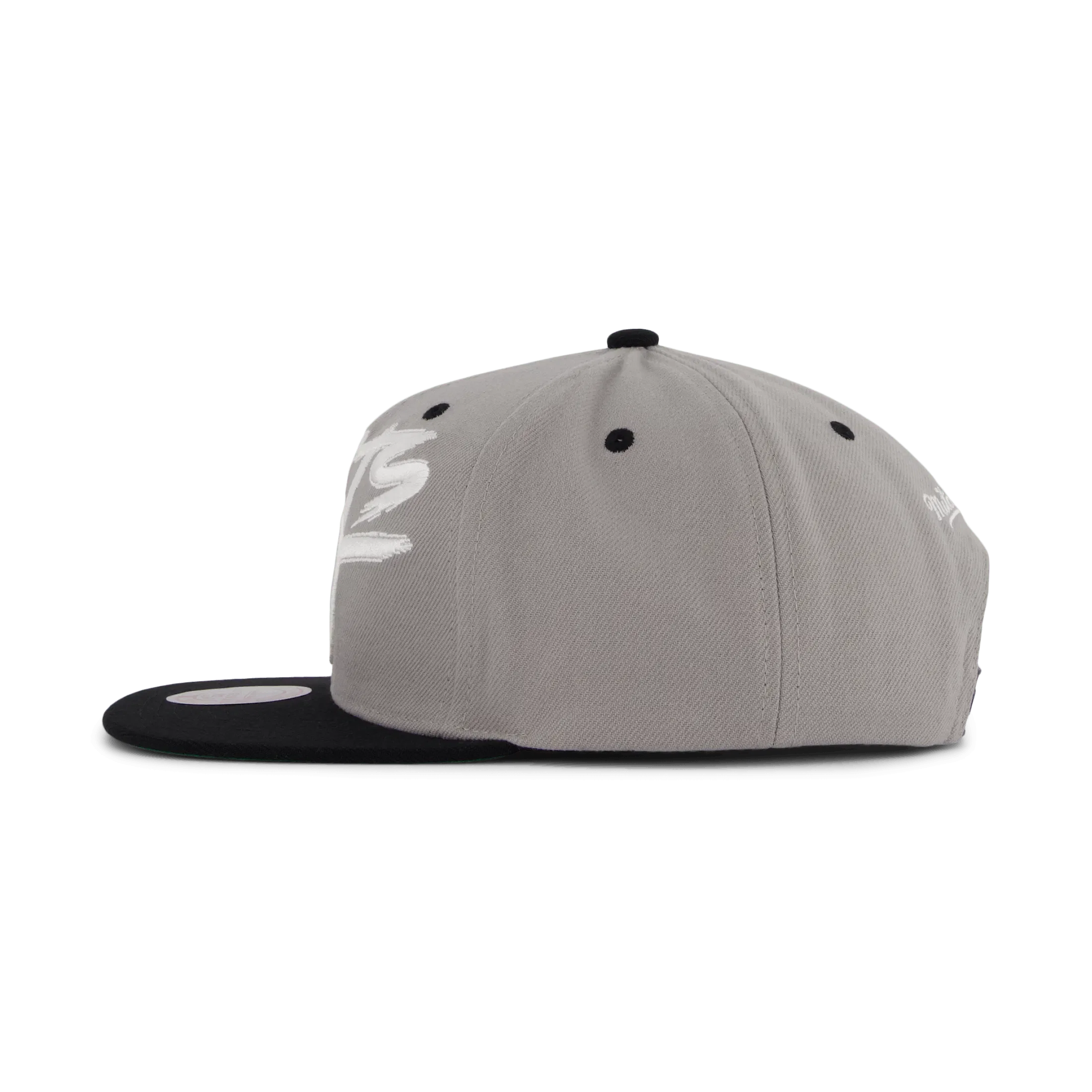Mitchell & Ness Nets Transcript Snapback