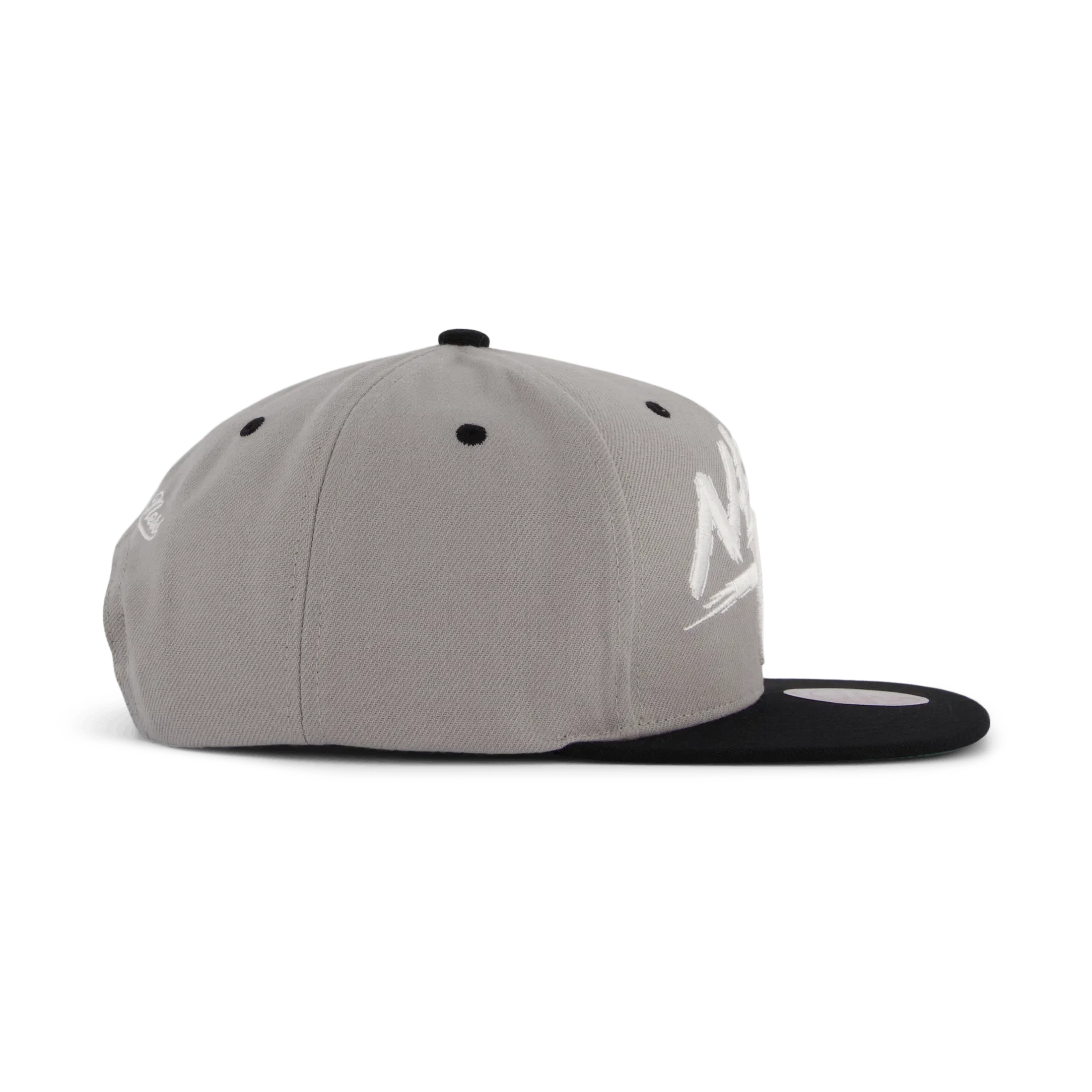 Mitchell & Ness Nets Transcript Snapback