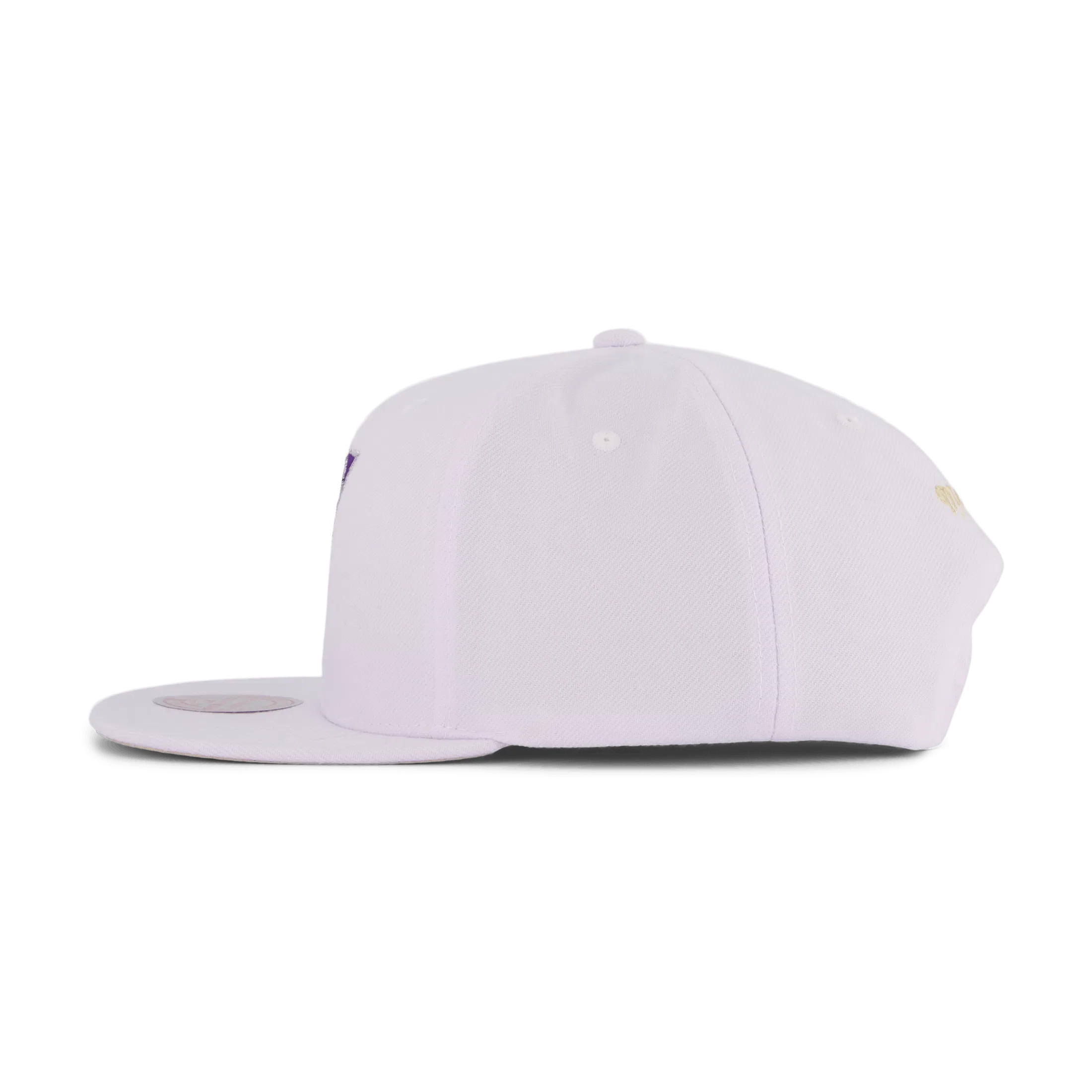 Mitchell & Ness Suns Winter Snapback