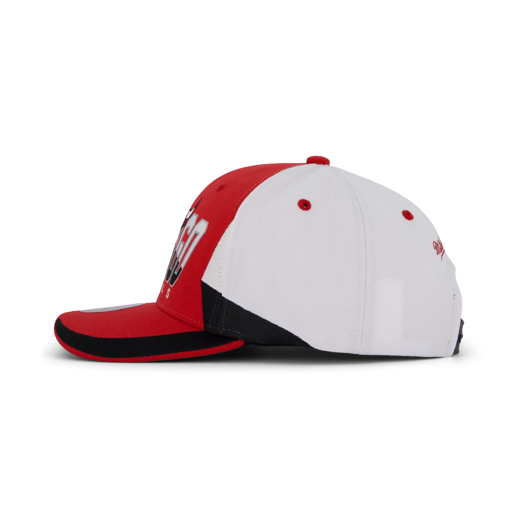 Mitchell & Ness Bulls Retrodome Pro Snapback