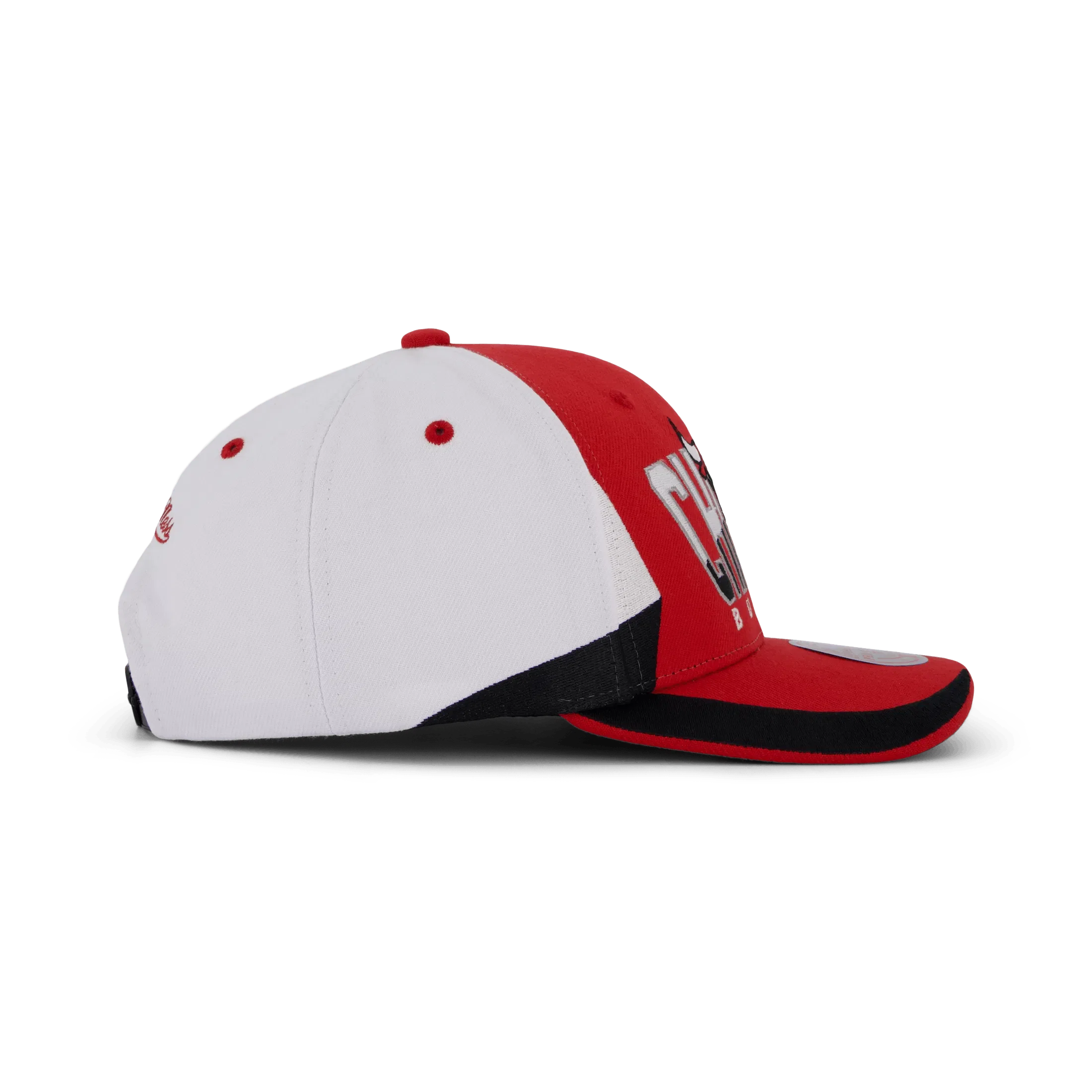 Mitchell & Ness Bulls Retrodome Pro Snapback