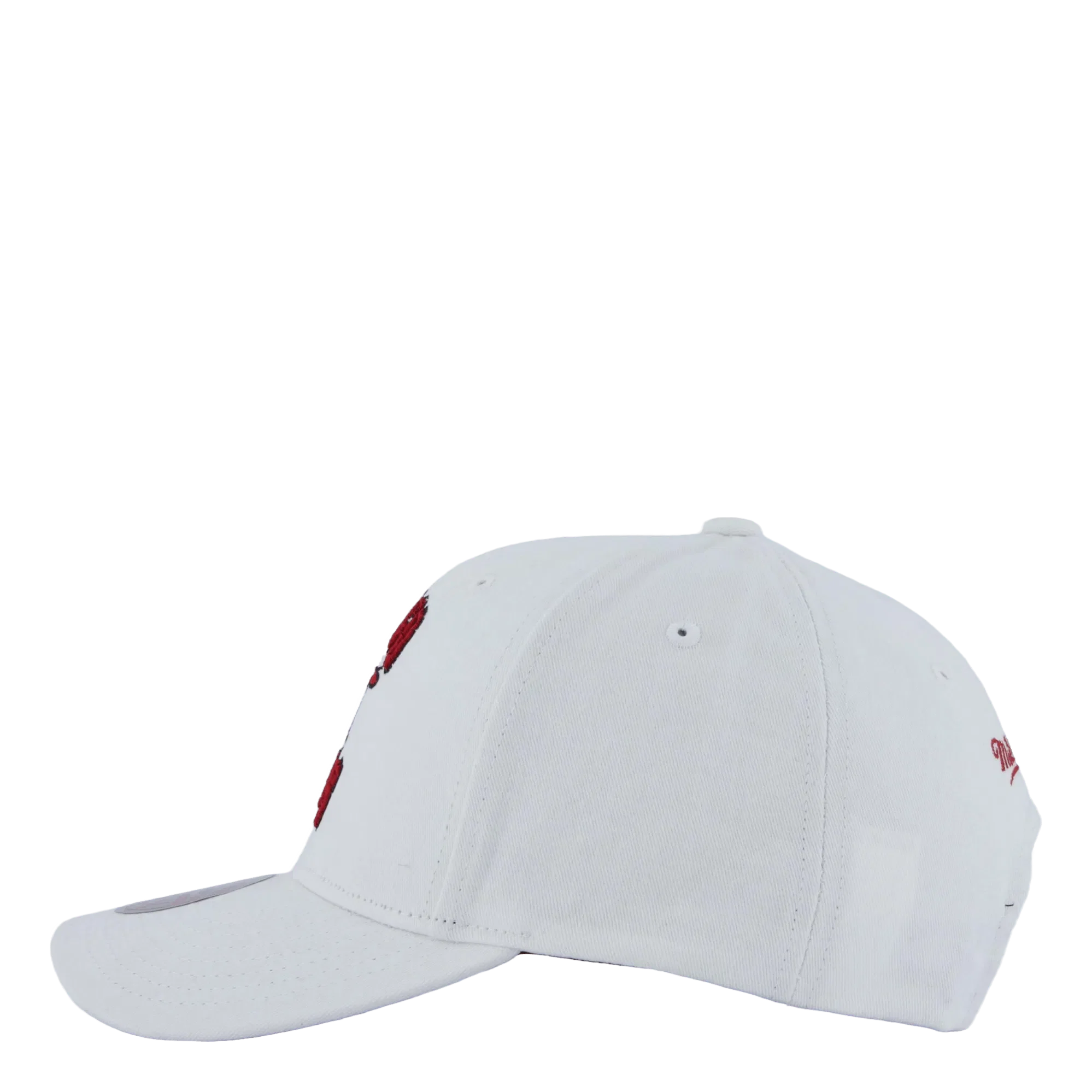 Mitchell & Ness Bulls All In Pro Snapback