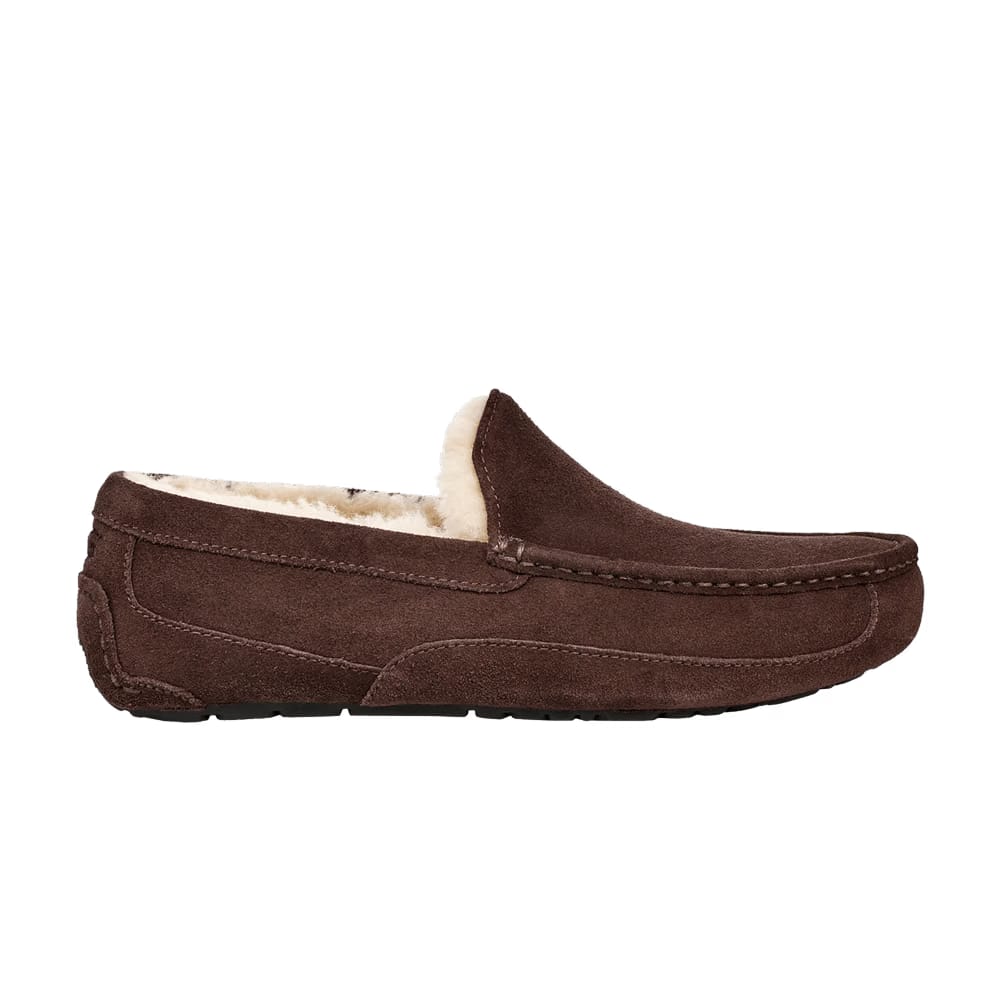 UGG Ascot Slipper Espresso