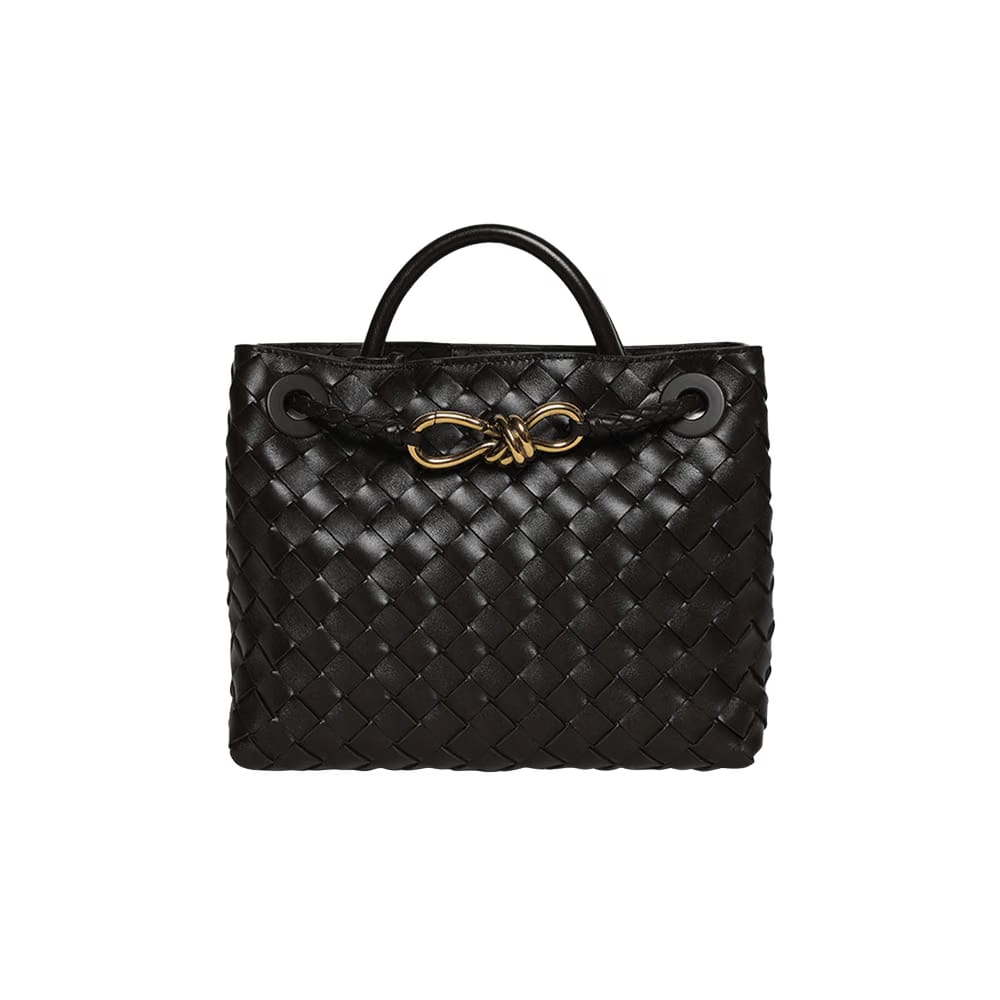 Bottega Veneta Small Andiamo Bag Fondant