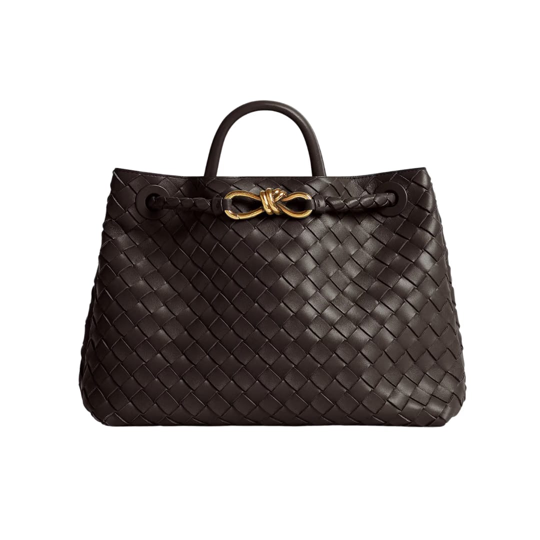 Bottega Veneta Andiamo Medium (Fondant)