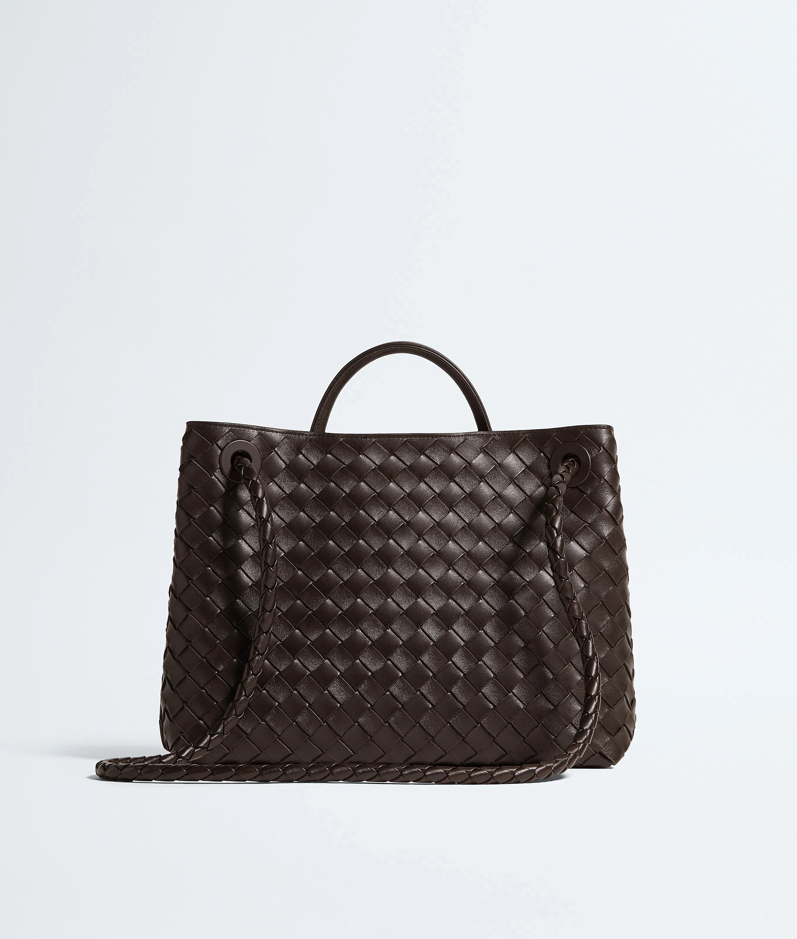 Bottega Veneta Andiamo Medium (Fondant)