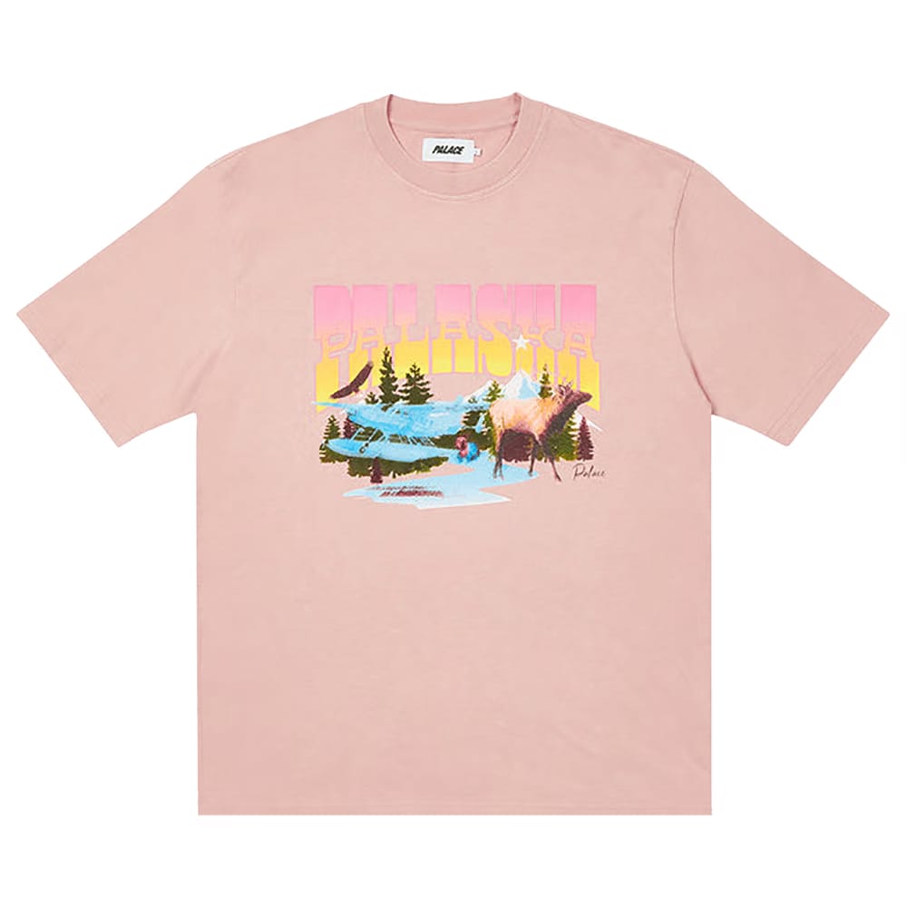 Palace Palaska Dye T-Shirt Pink