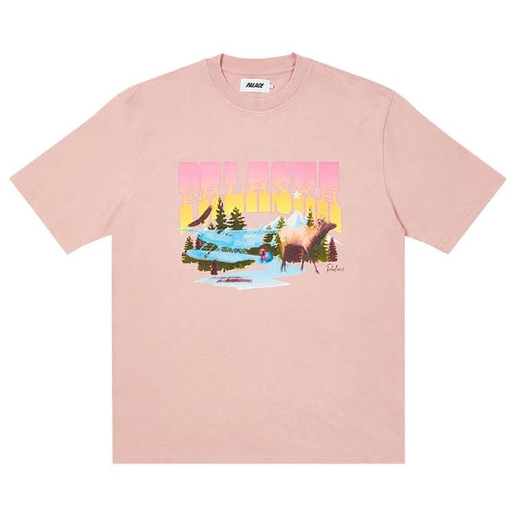 Palace Palaska Dye T-Shirt Pink