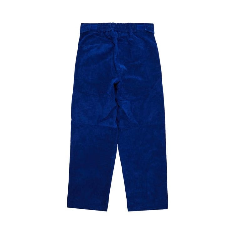Supreme x The North Face Suede Mountain Pant Blue