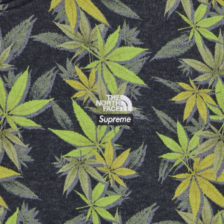 Supreme x The North Face Leaf Hoodie Black