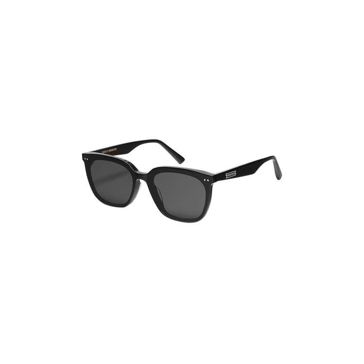 Gentle Monster Heizer 01 Sunglasses Black