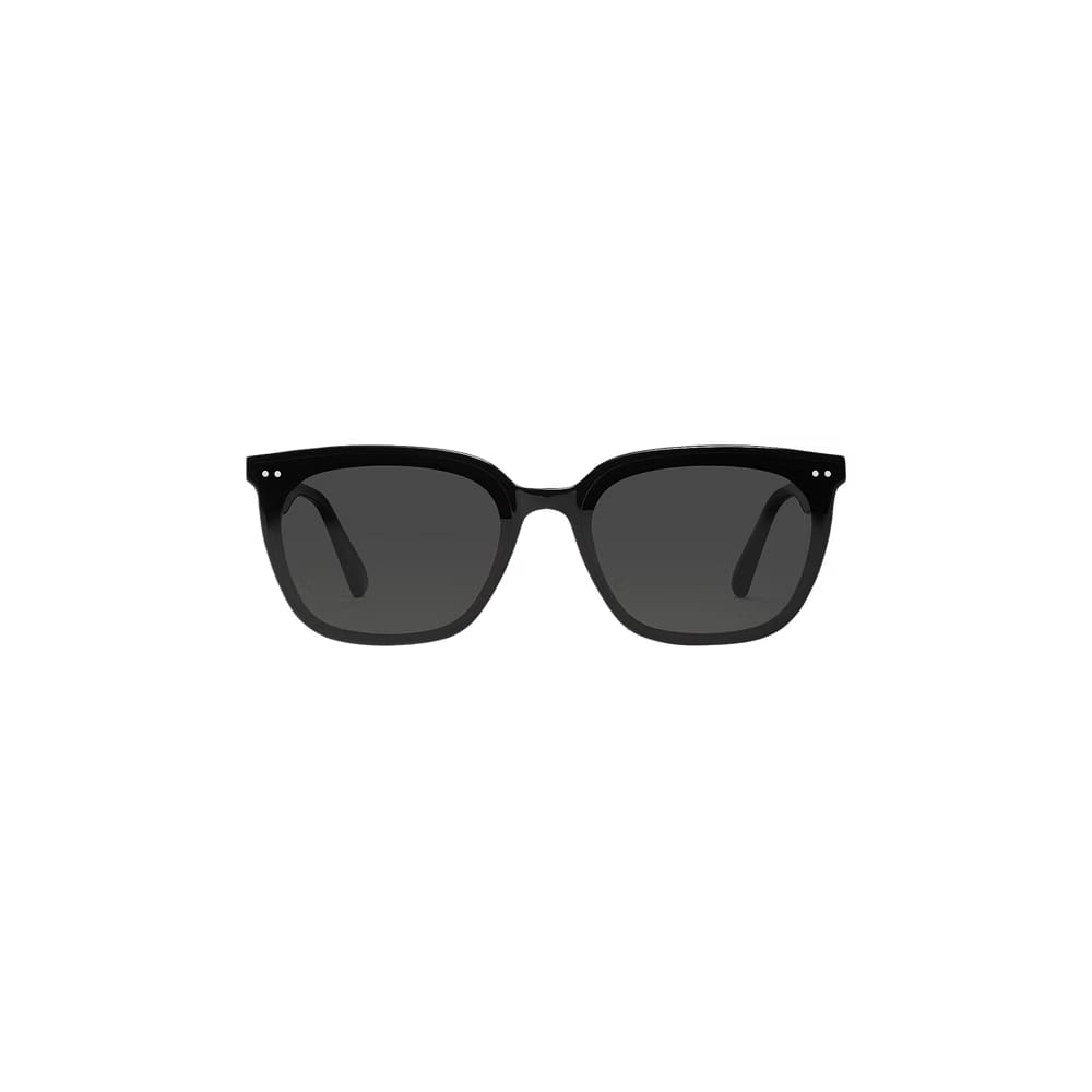 Gentle Monster Heizer 01 Sunglasses Black