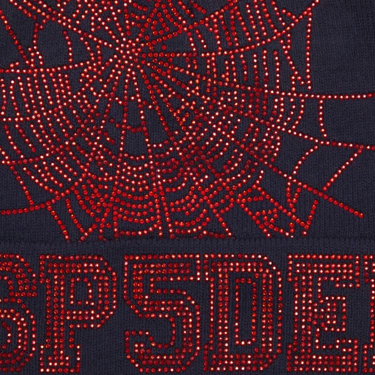 Sp5der Web Beanie Navy/Red
