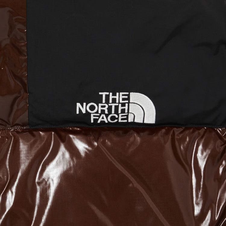Supreme x The North Face 700-Fill Down Parka Brown