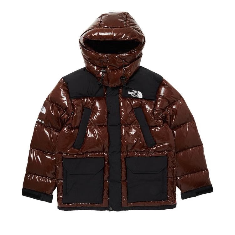 Supreme x The North Face 700-Fill Down Parka Brown