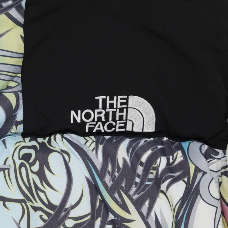 Supreme x The North Face 700-Fill Down Parka Multicolor Dragon