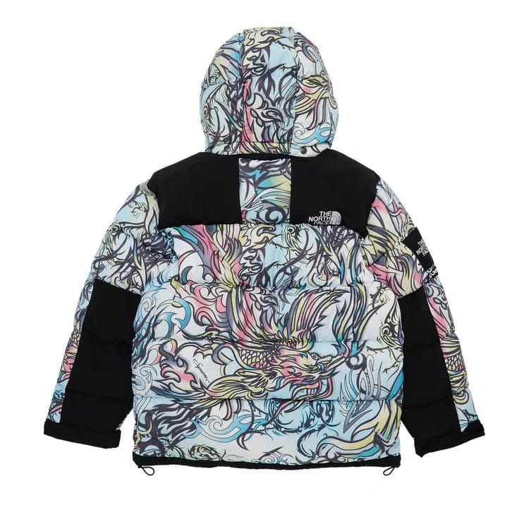 Supreme x The North Face 700-Fill Down Parka Multicolor Dragon