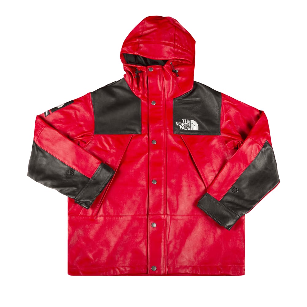 Supreme x The North Face Leather Mountain Parka Red