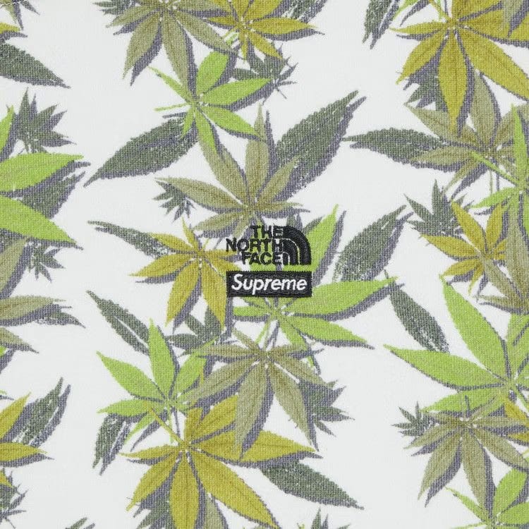 Supreme x The North Face Leaf Hoodie White