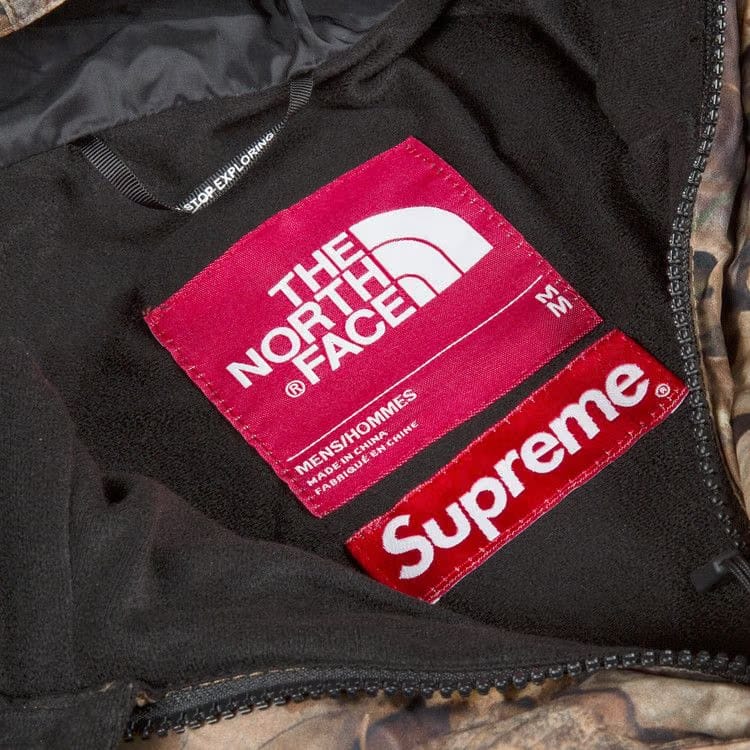 Supreme x The North Face Mountain Light Jacket Leaves