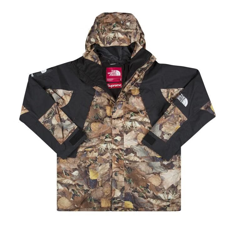 Supreme x The North Face Mountain Light Jacket Leaves