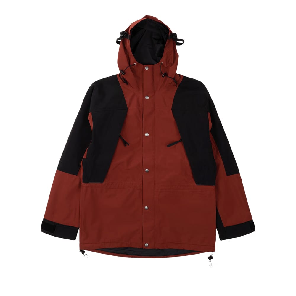 The North Face 1994 Retro Mountain Light Futurelight Jacket Red