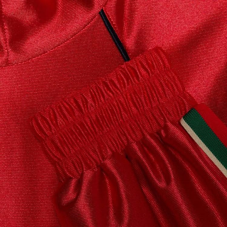 Gucci Shiny Jersey Hoodie With Web Red