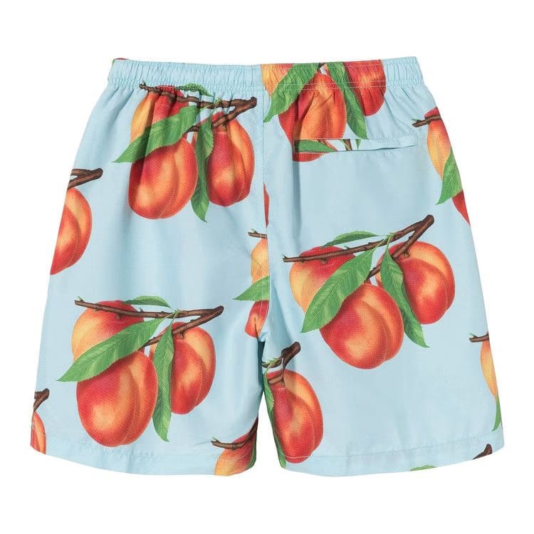 Stussy Peaches Water Shorts Blue